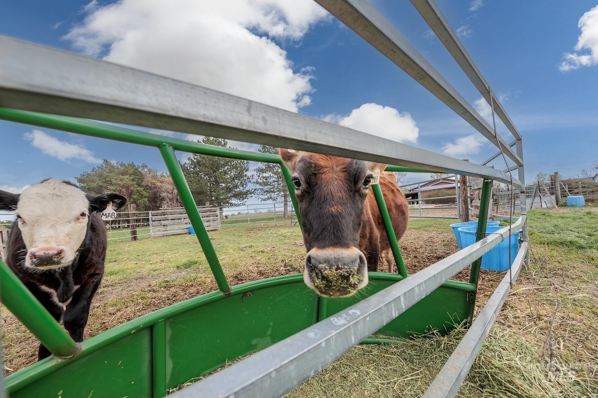 4484 Community Rd, Ontario, Oregon 97914, 3 Bedrooms, 2 Bathrooms, Residential For Sale, Price $450,000, 98980138