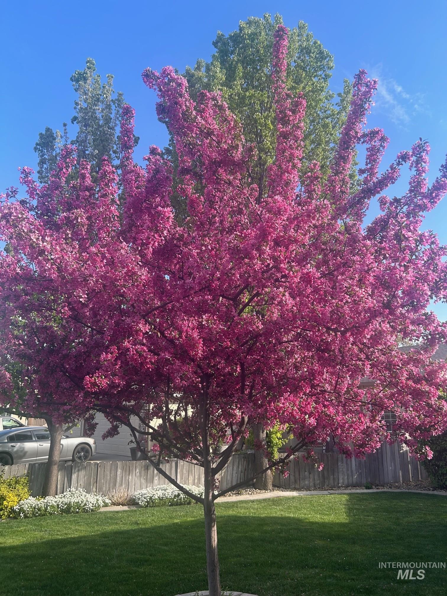 2441 N Snow Goose Way, Meridian, Idaho 83646, 4 Bedrooms, 2 Bathrooms, Residential For Sale, Price $645,000,MLS 98980148