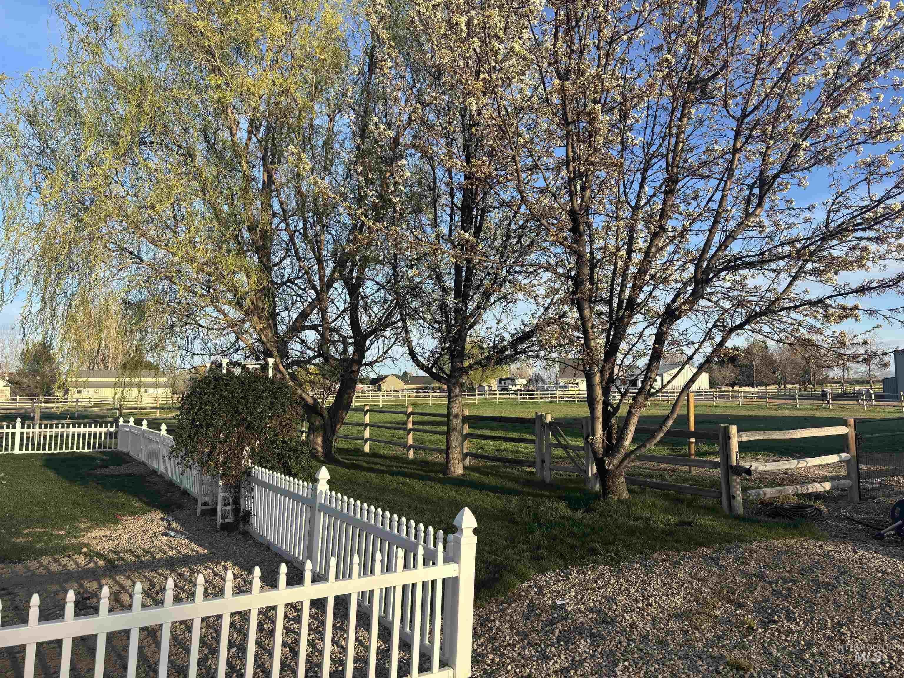 2675 Kings Way Drive, Homedale, Idaho 83628, 5 Bedrooms, 3 Bathrooms, Residential For Sale, Price $989,000,MLS 98980157