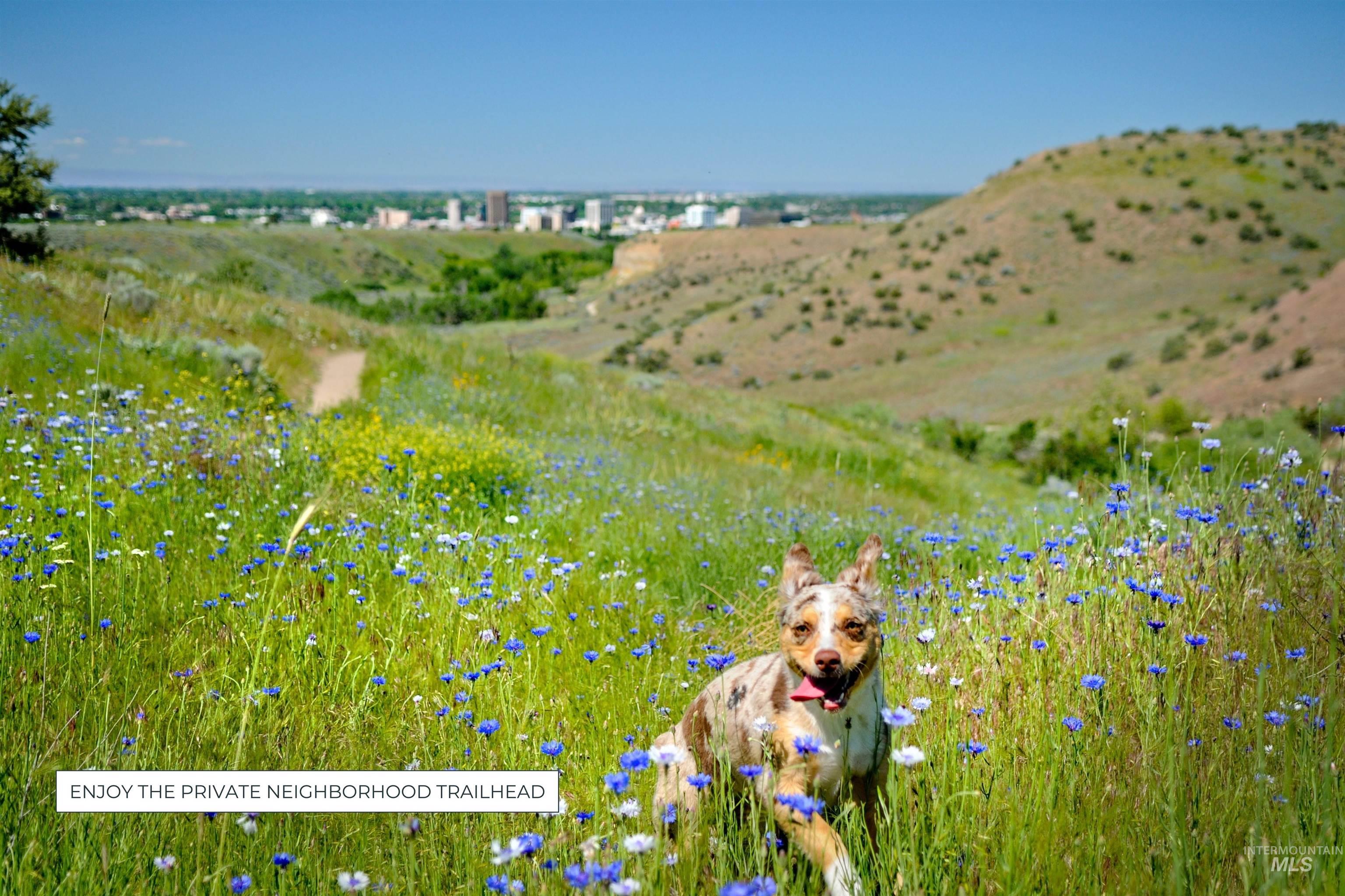 1903 S Meteor Way, Boise, Idaho 83712, 4 Bedrooms, 3 Bathrooms, Residential For Sale, Price $1,699,900,MLS 98980162