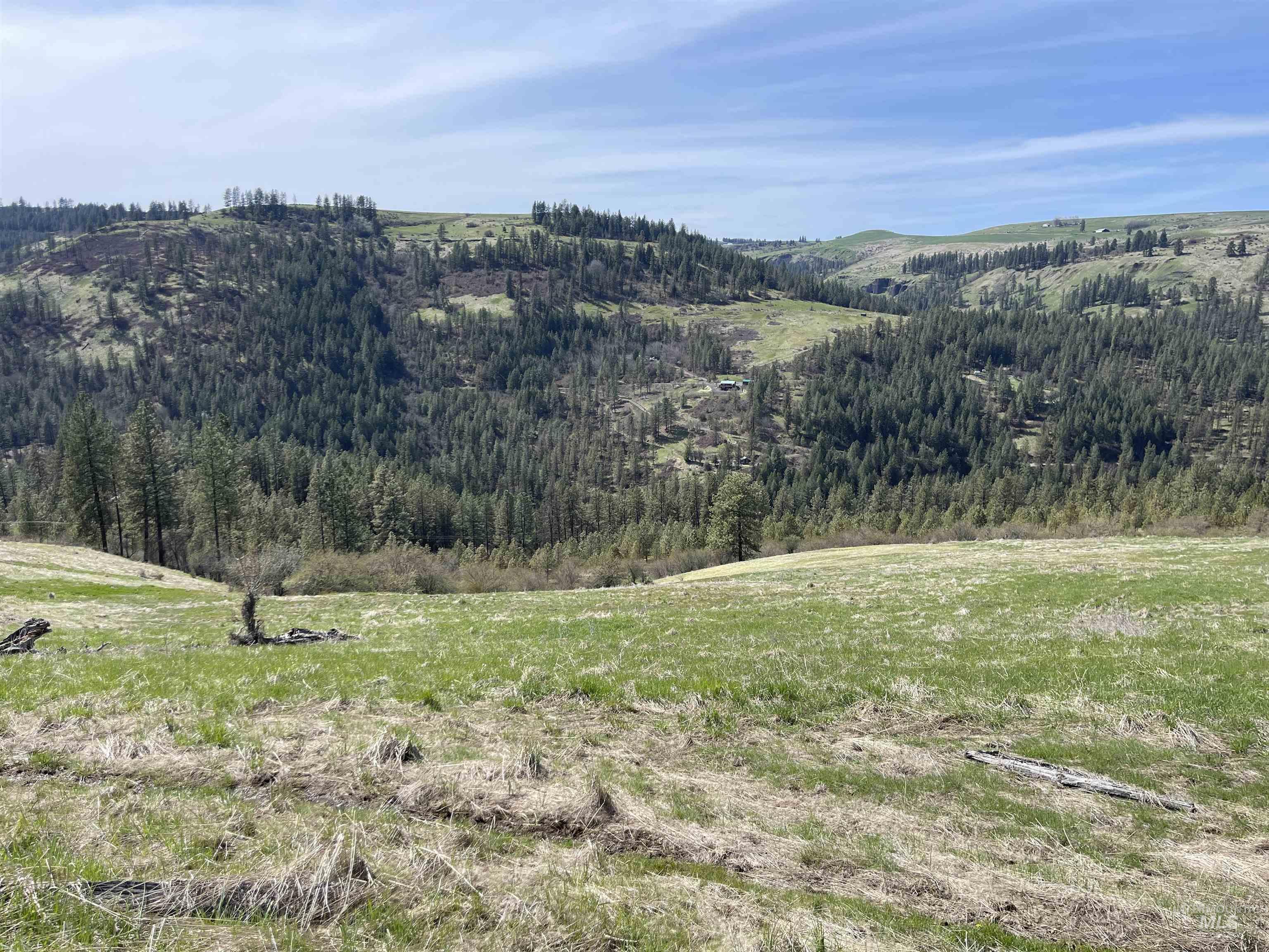 TBD Wagon Wheel Rd, Harpster, Idaho 83552, Land For Sale, Price $87,000, 98980171