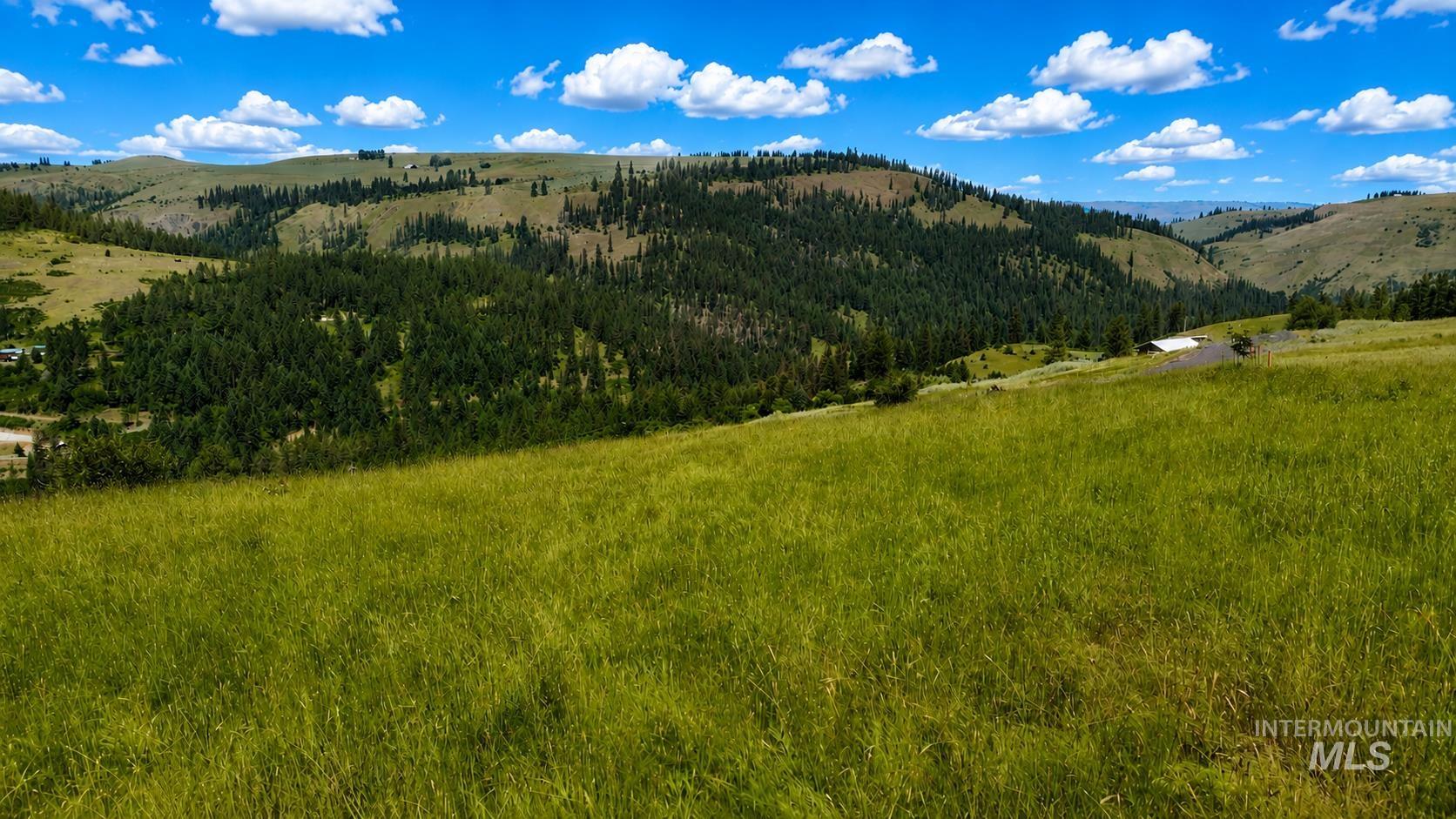 TBD Wagon Wheel Rd, Harpster, Idaho 83552, Land For Sale, Price $83,000,MLS 98980171