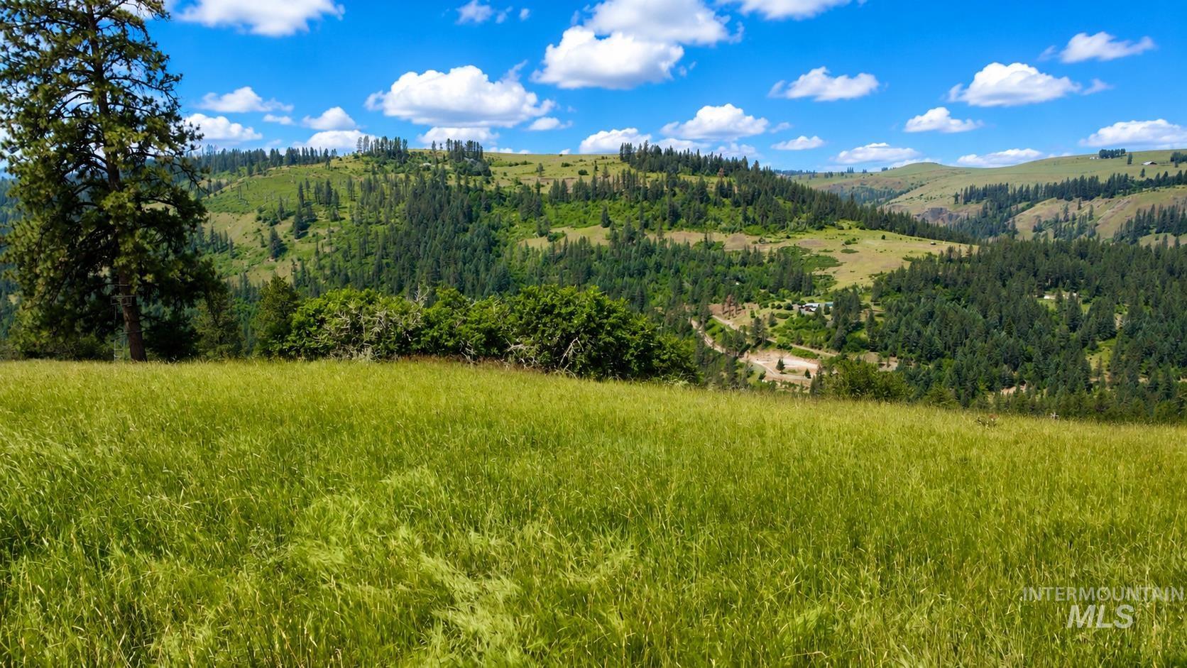 TBD Wagon Wheel Rd, Harpster, Idaho 83552, Land For Sale, Price $83,000,MLS 98980171