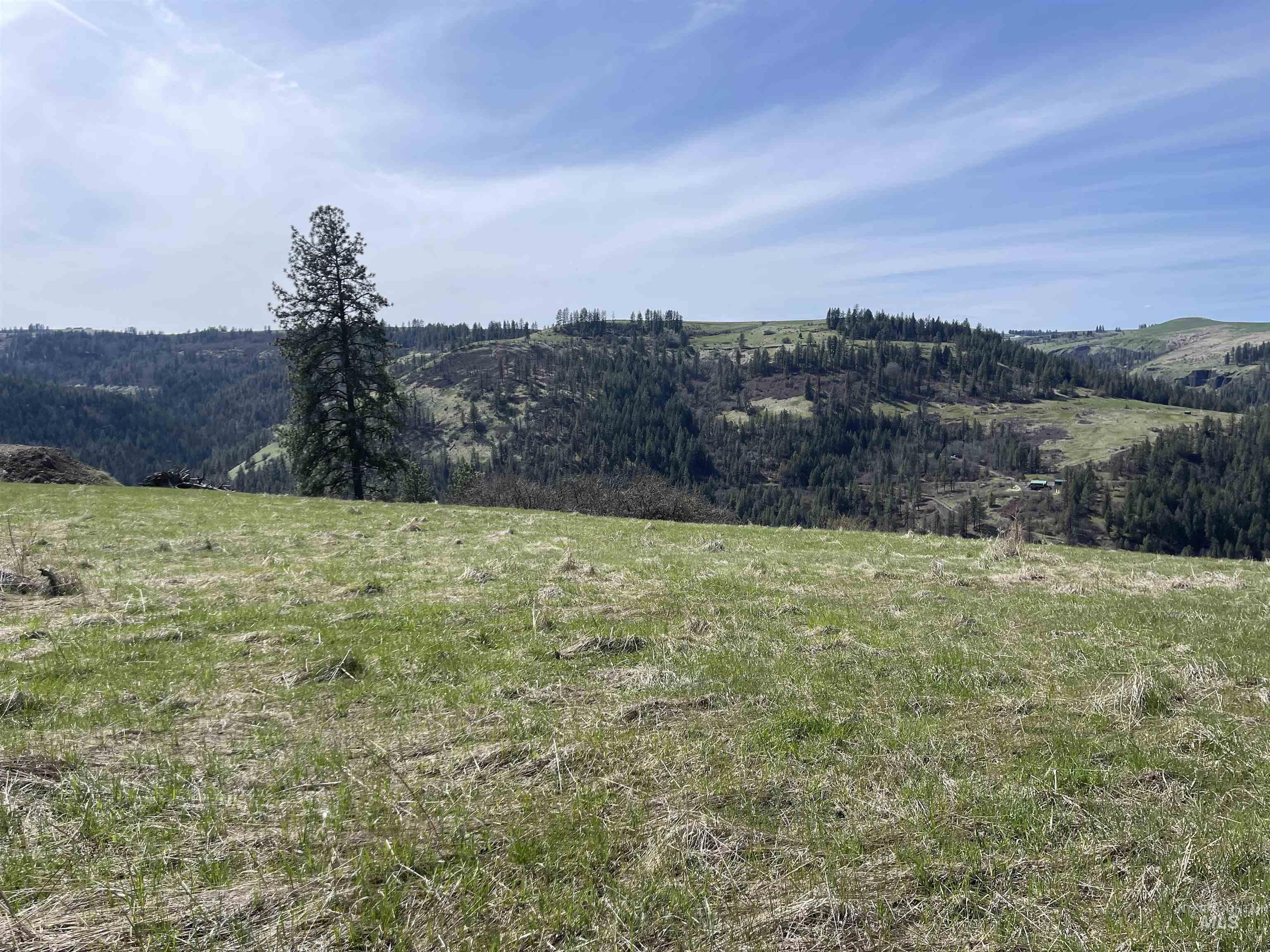 TBD Wagon Wheel Rd, Harpster, Idaho 83552, Land For Sale, Price $87,000, 98980171