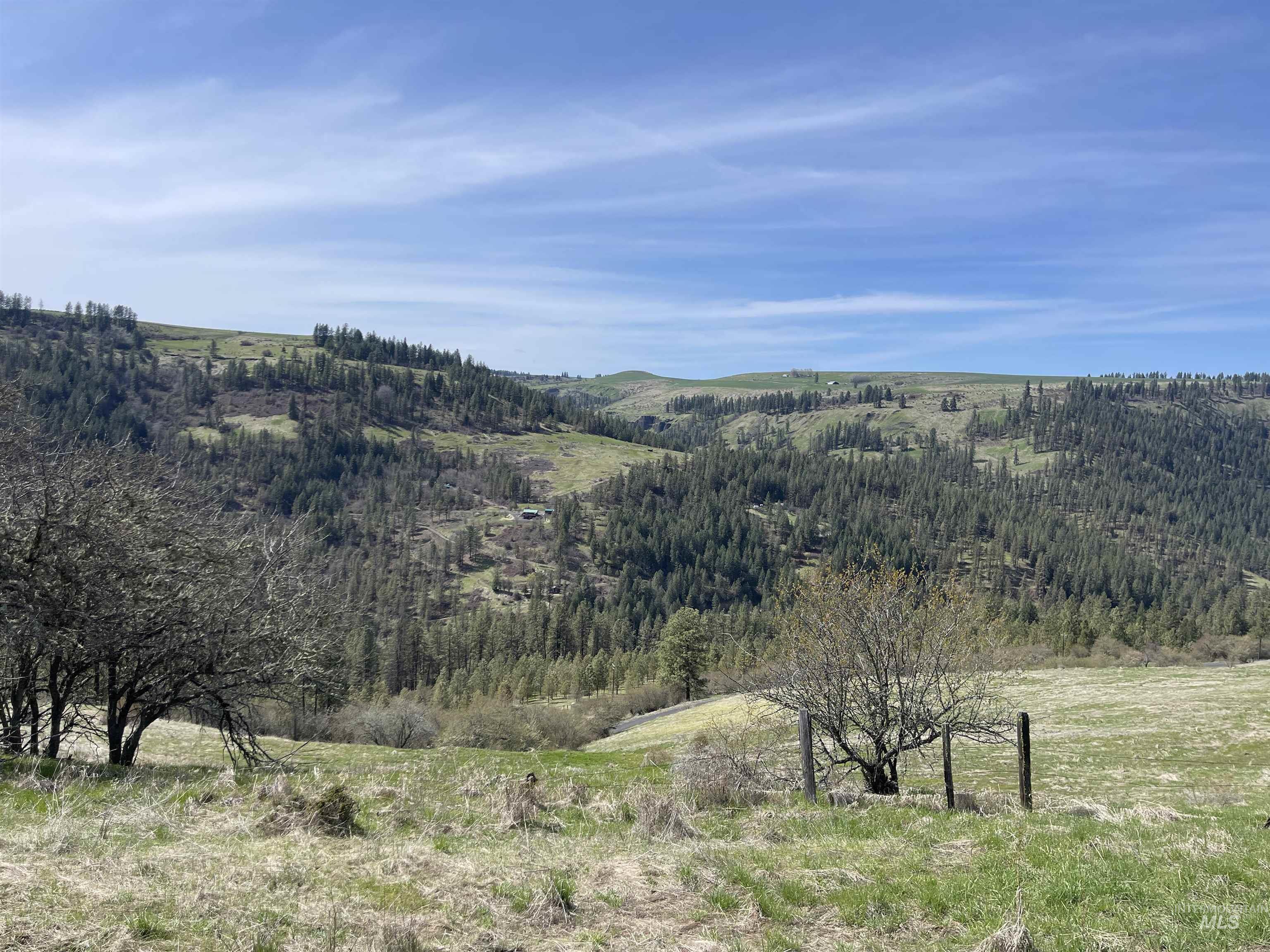 TBD Wagon Wheel Rd, Harpster, Idaho 83552, Land For Sale, Price $87,000, 98980171