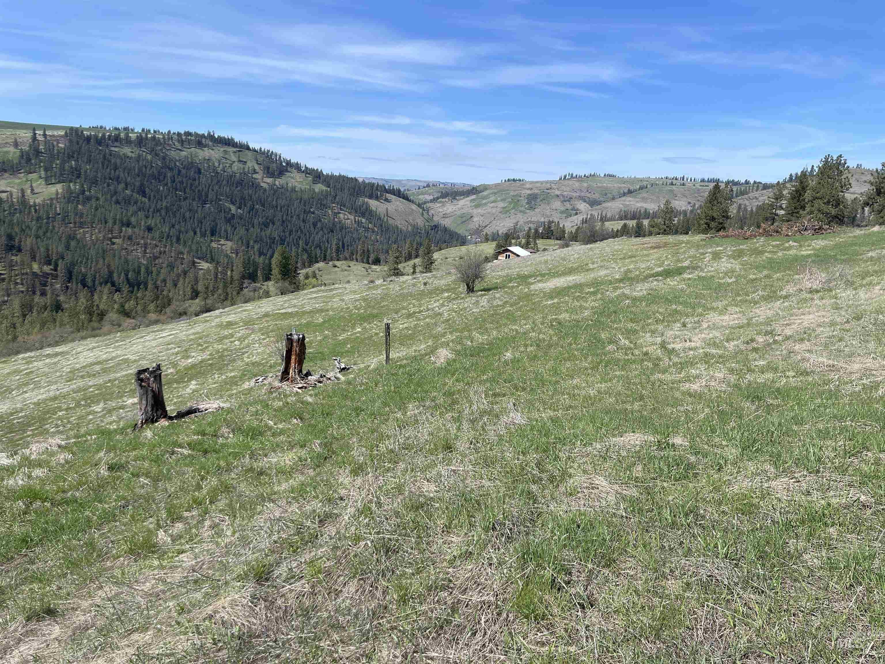 TBD Wagon Wheel Rd, Harpster, Idaho 83552, Land For Sale, Price $87,000, 98980171
