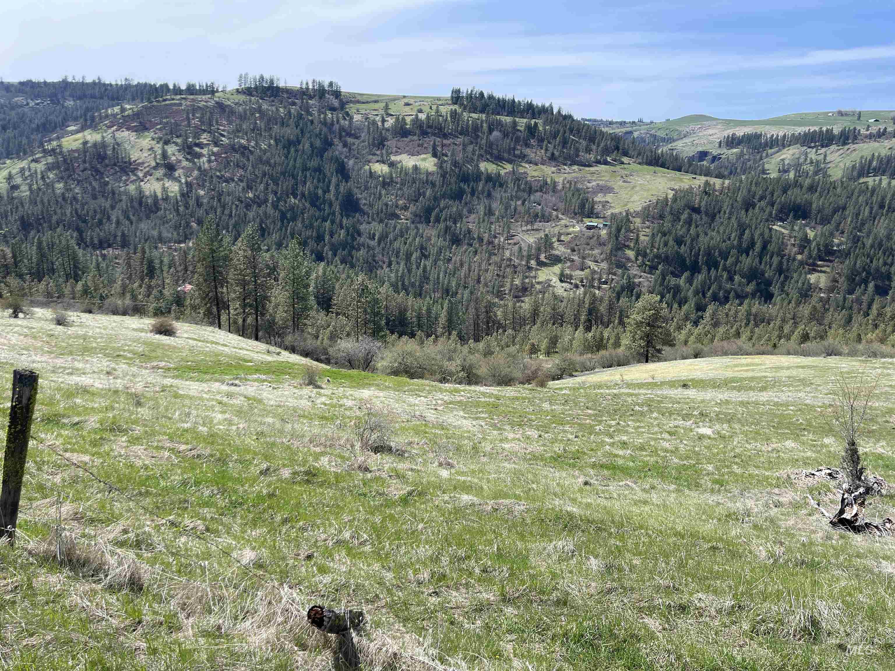 TBD Wagon Wheel Rd, Harpster, Idaho 83552, Land For Sale, Price $87,000, 98980171