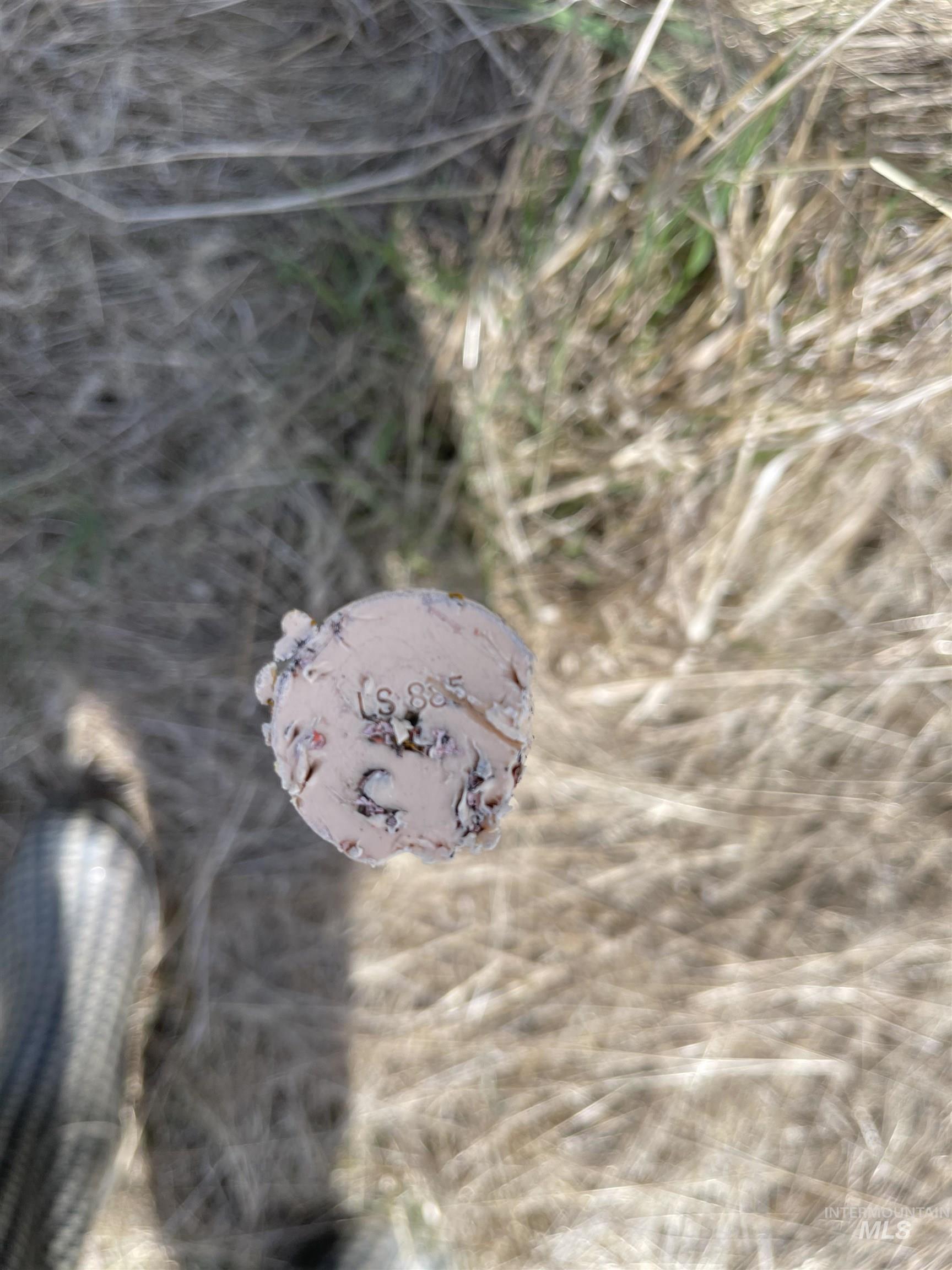 TBD Wagon Wheel Rd, Harpster, Idaho 83552, Land For Sale, Price $87,000, 98980171