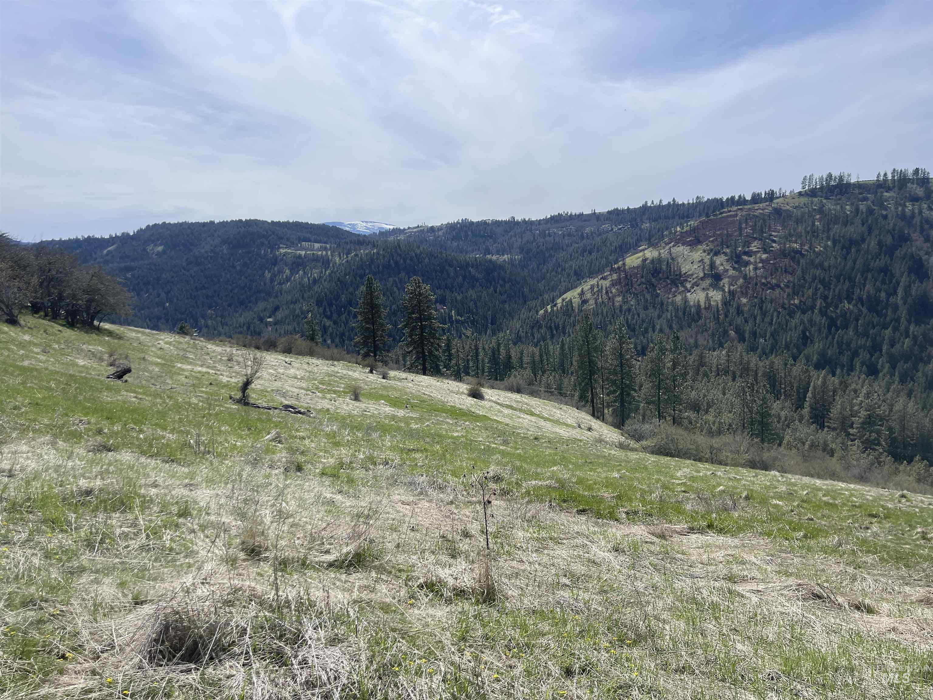 TBD Wagon Wheel Rd, Harpster, Idaho 83552, Land For Sale, Price $87,000, 98980171
