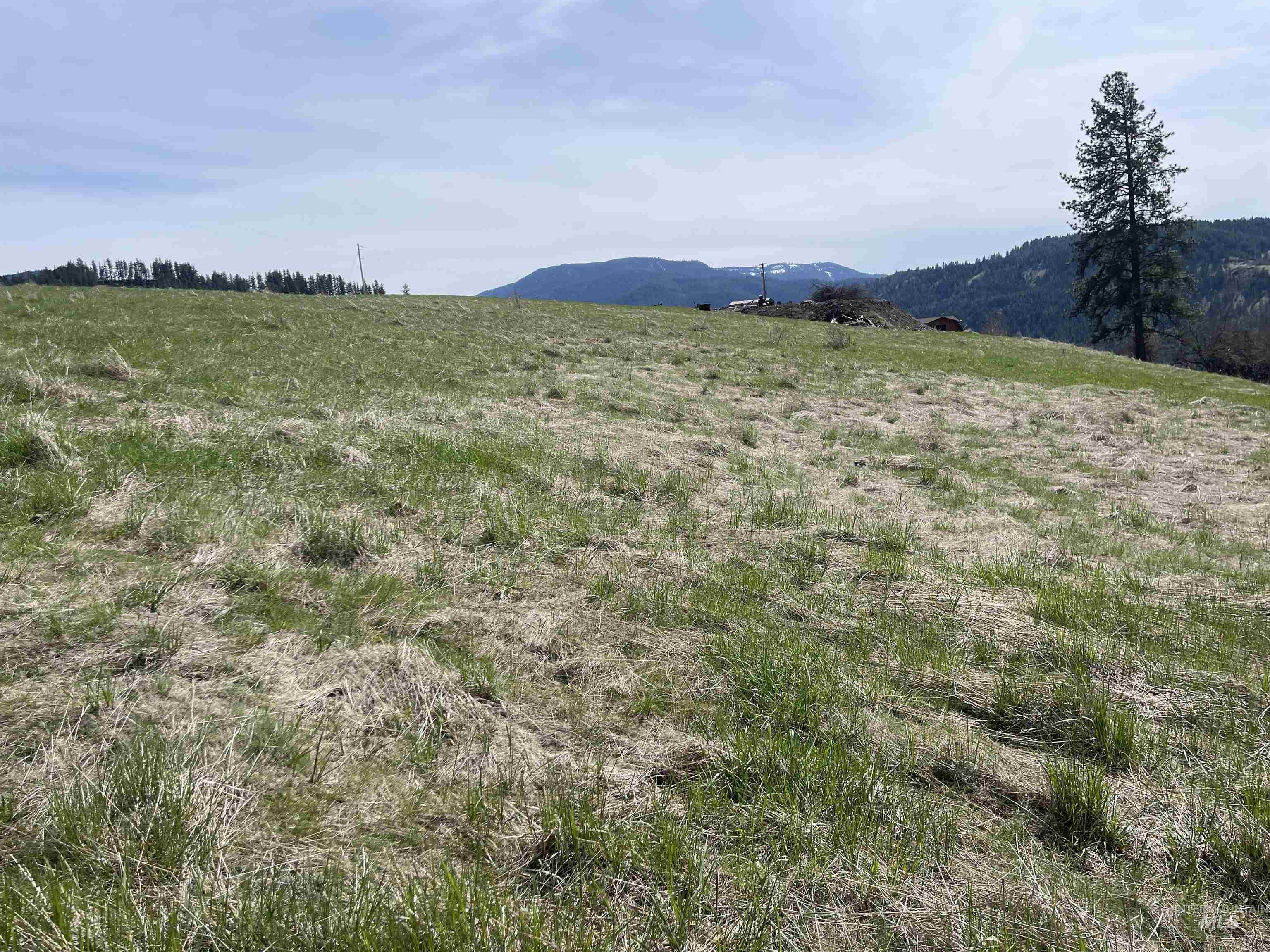 TBD Wagon Wheel Rd, Harpster, Idaho 83552, Land For Sale, Price $83,000,MLS 98980171