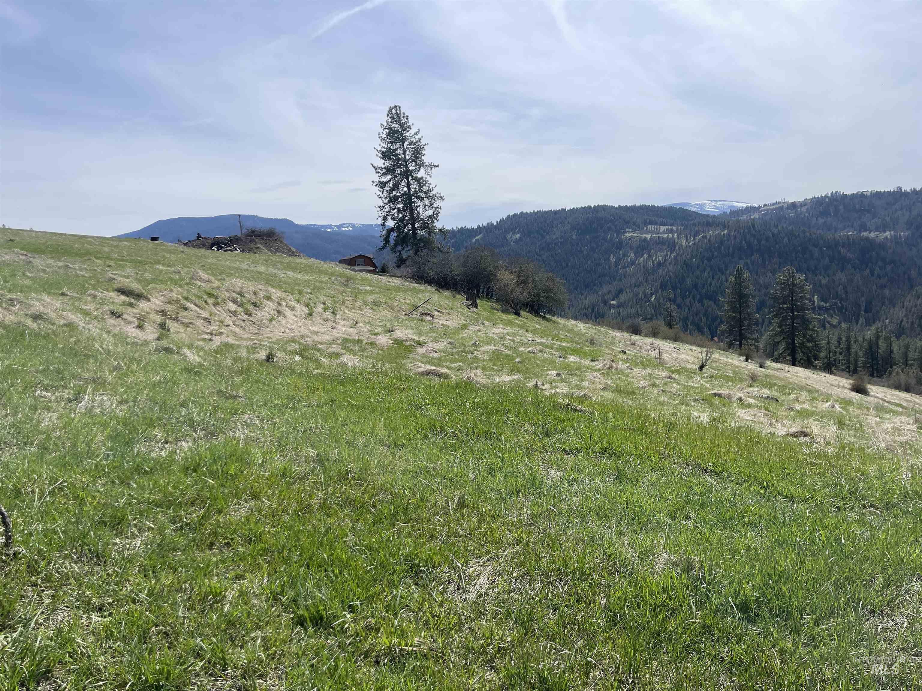 TBD Wagon Wheel Rd, Harpster, Idaho 83552, Land For Sale, Price $87,000, 98980171