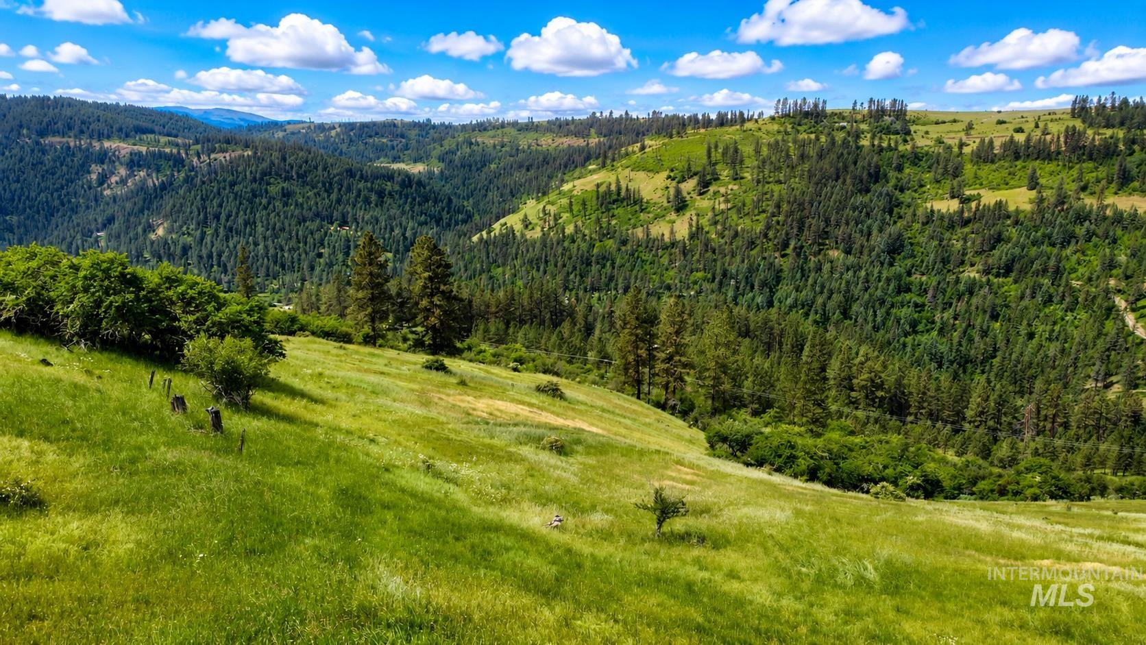 TBD Wagon Wheel Rd, Harpster, Idaho 83552, Land For Sale, Price $83,000,MLS 98980171