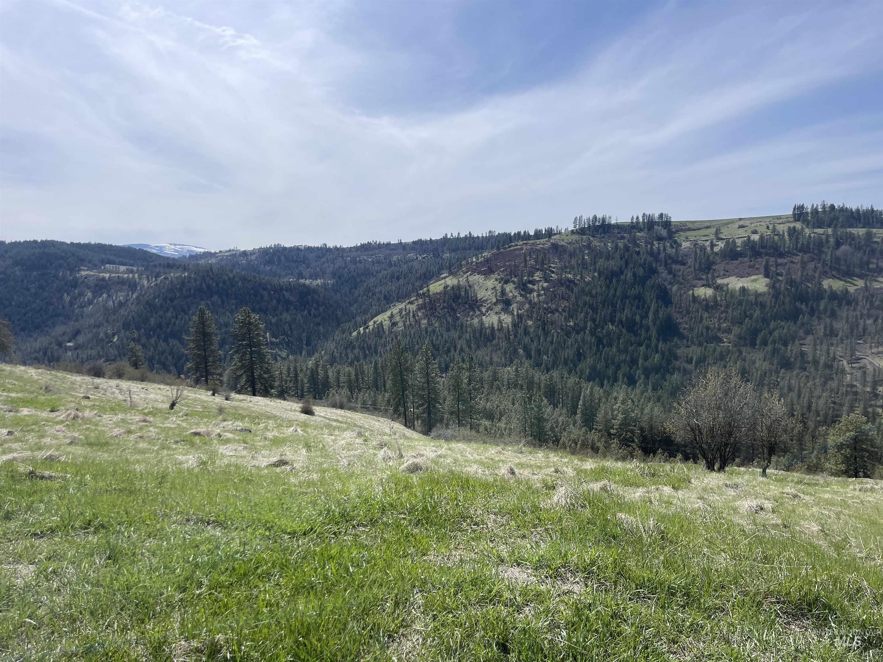 TBD Wagon Wheel Rd, Harpster, Idaho 83552, Land For Sale, Price $87,000, 98980171