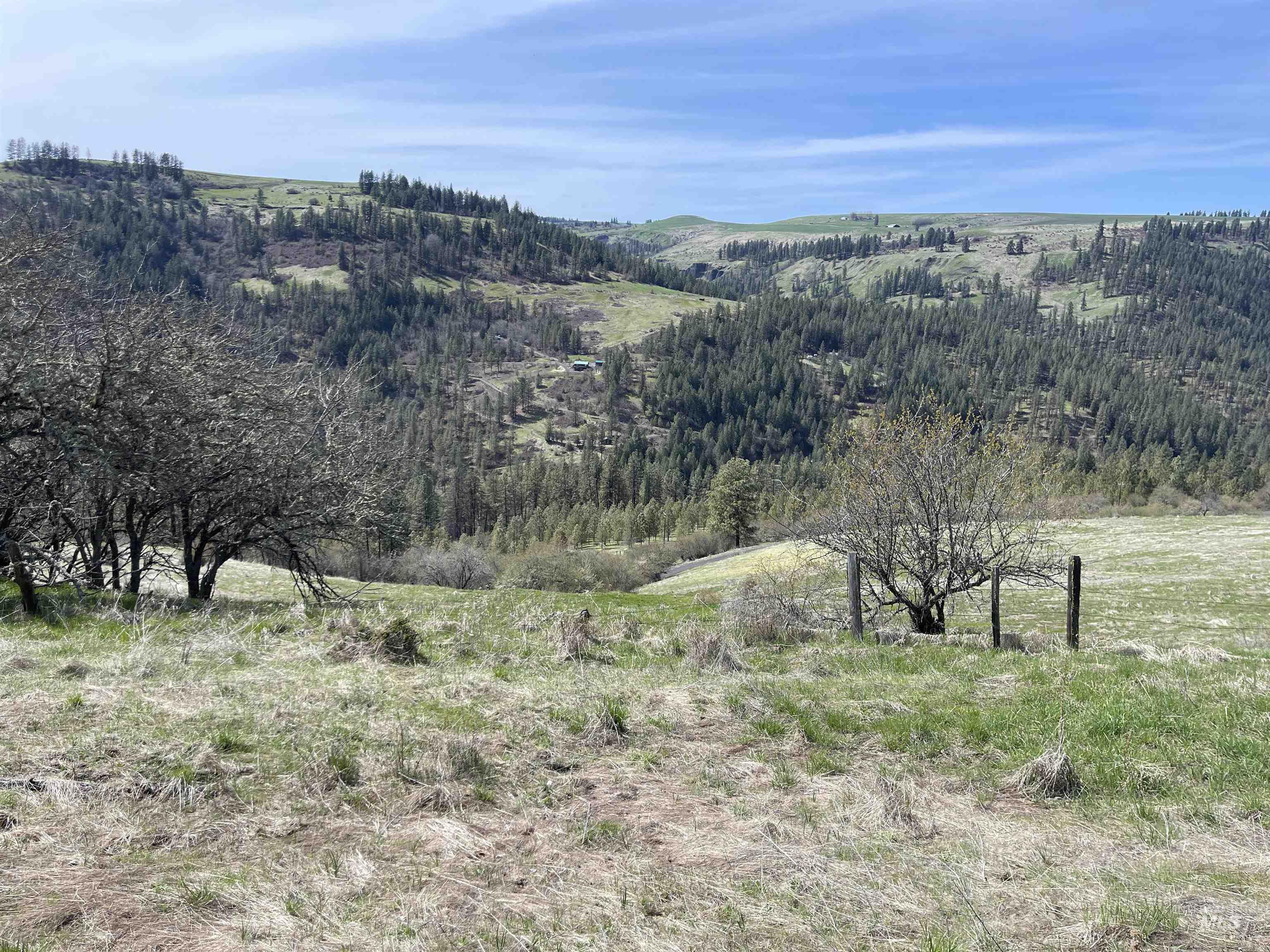 TBD Wagon Wheel Rd, Harpster, Idaho 83552, Land For Sale, Price $87,000, 98980171
