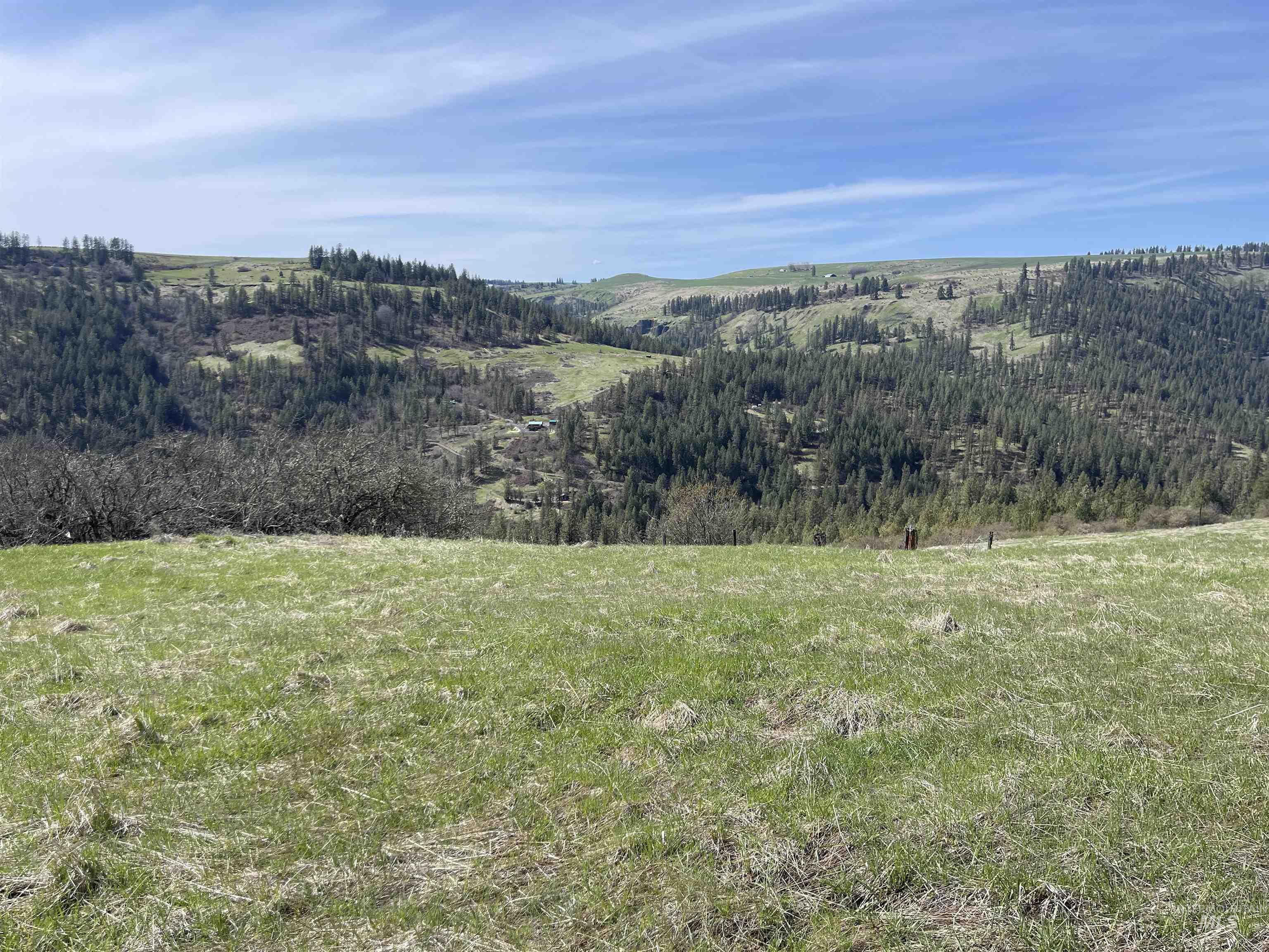 TBD Wagon Wheel Rd, Harpster, Idaho 83552, Land For Sale, Price $87,000, 98980171