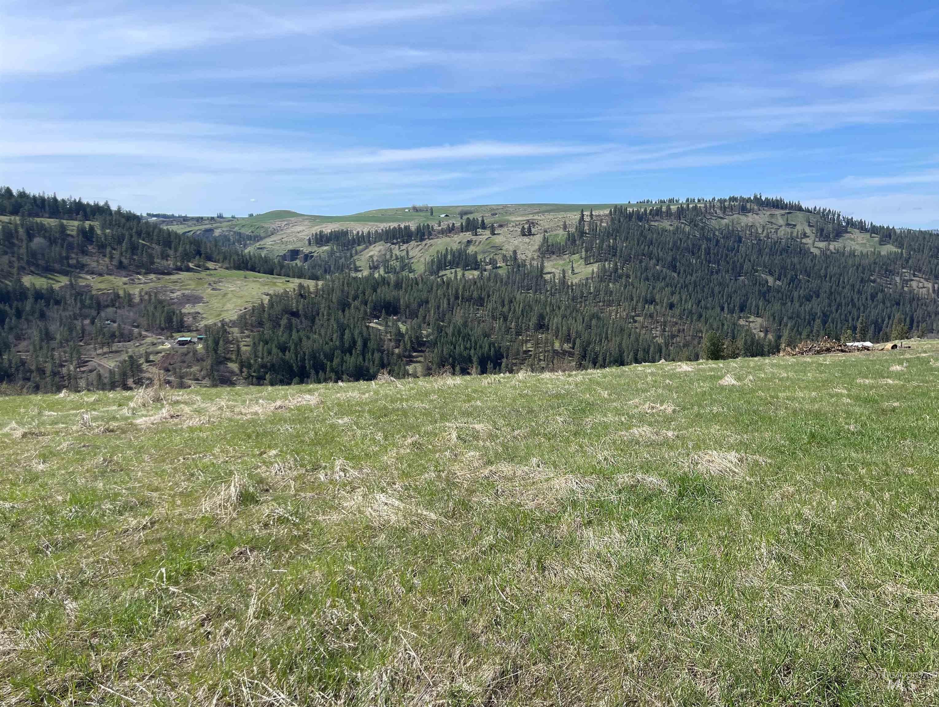 TBD Wagon Wheel Rd, Harpster, Idaho 83552, Land For Sale, Price $87,000, 98980171