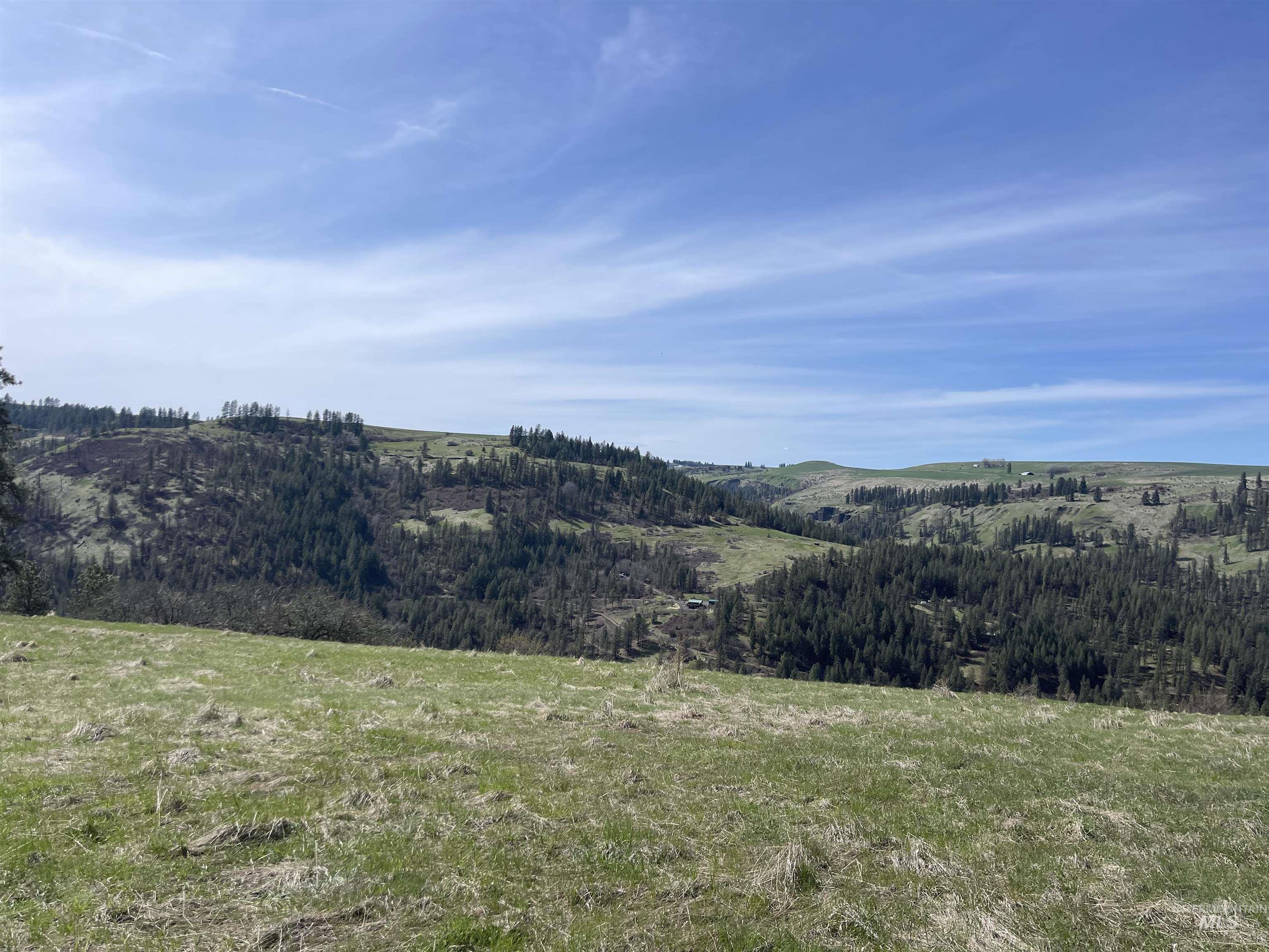 TBD Wagon Wheel Rd, Harpster, Idaho 83552, Land For Sale, Price $87,000, 98980171