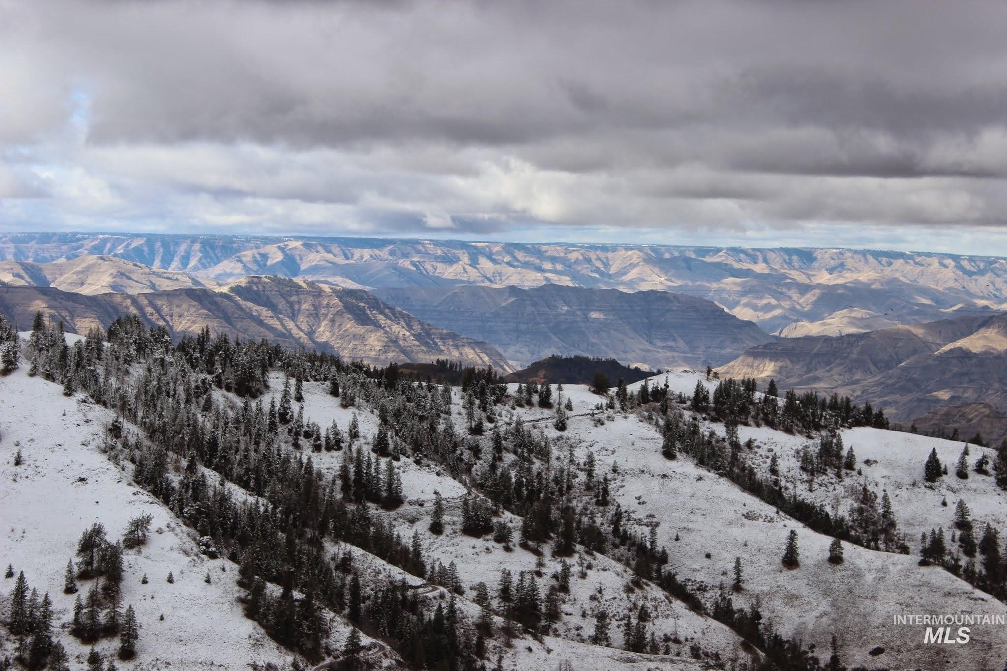 478 Deer Gulch Rd, CottonWood, Idaho 83522, Land For Sale, Price $499,000,MLS 98980190