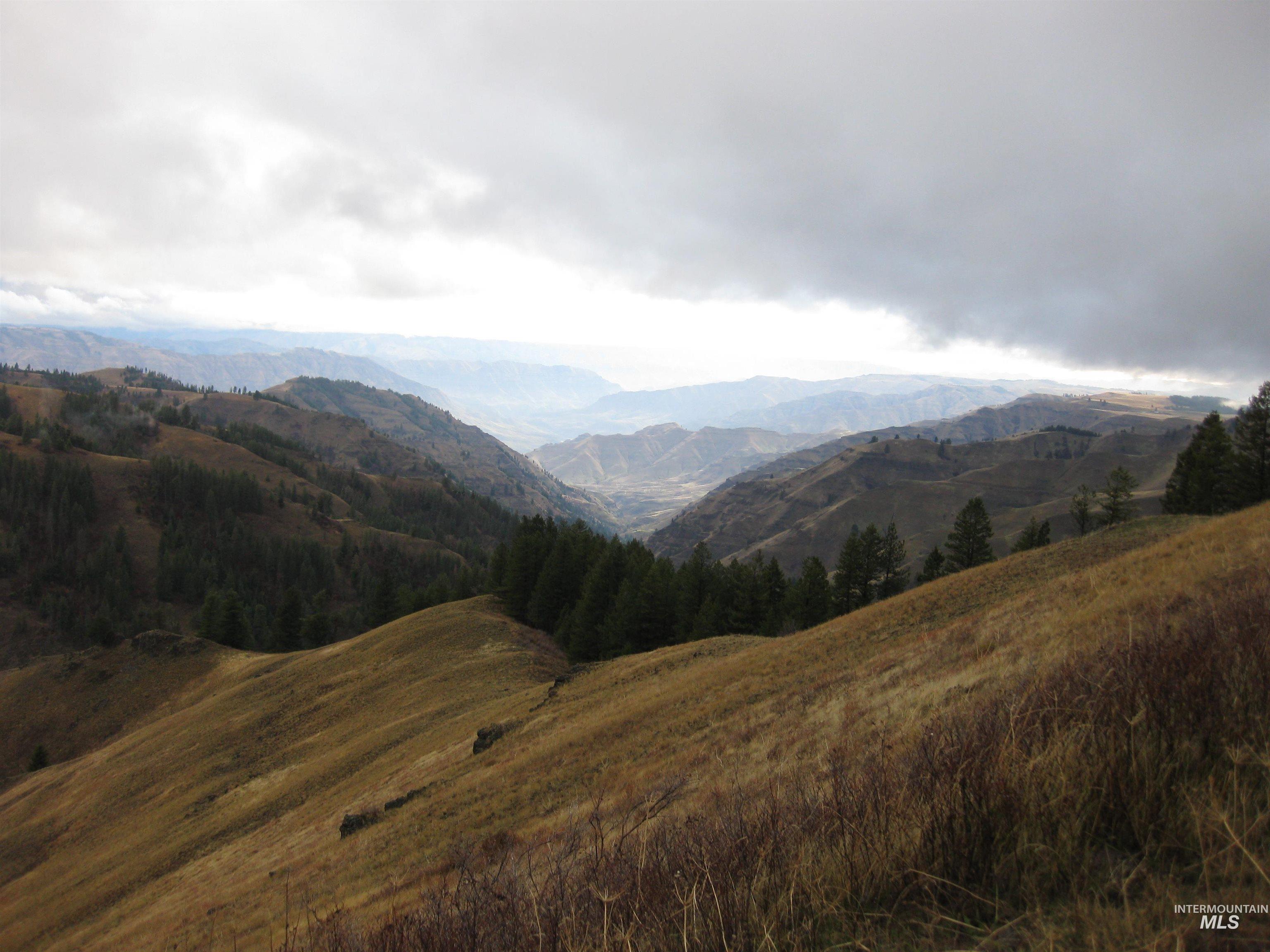 478 Deer Gulch Rd, CottonWood, Idaho 83522, Land For Sale, Price $499,000,MLS 98980190