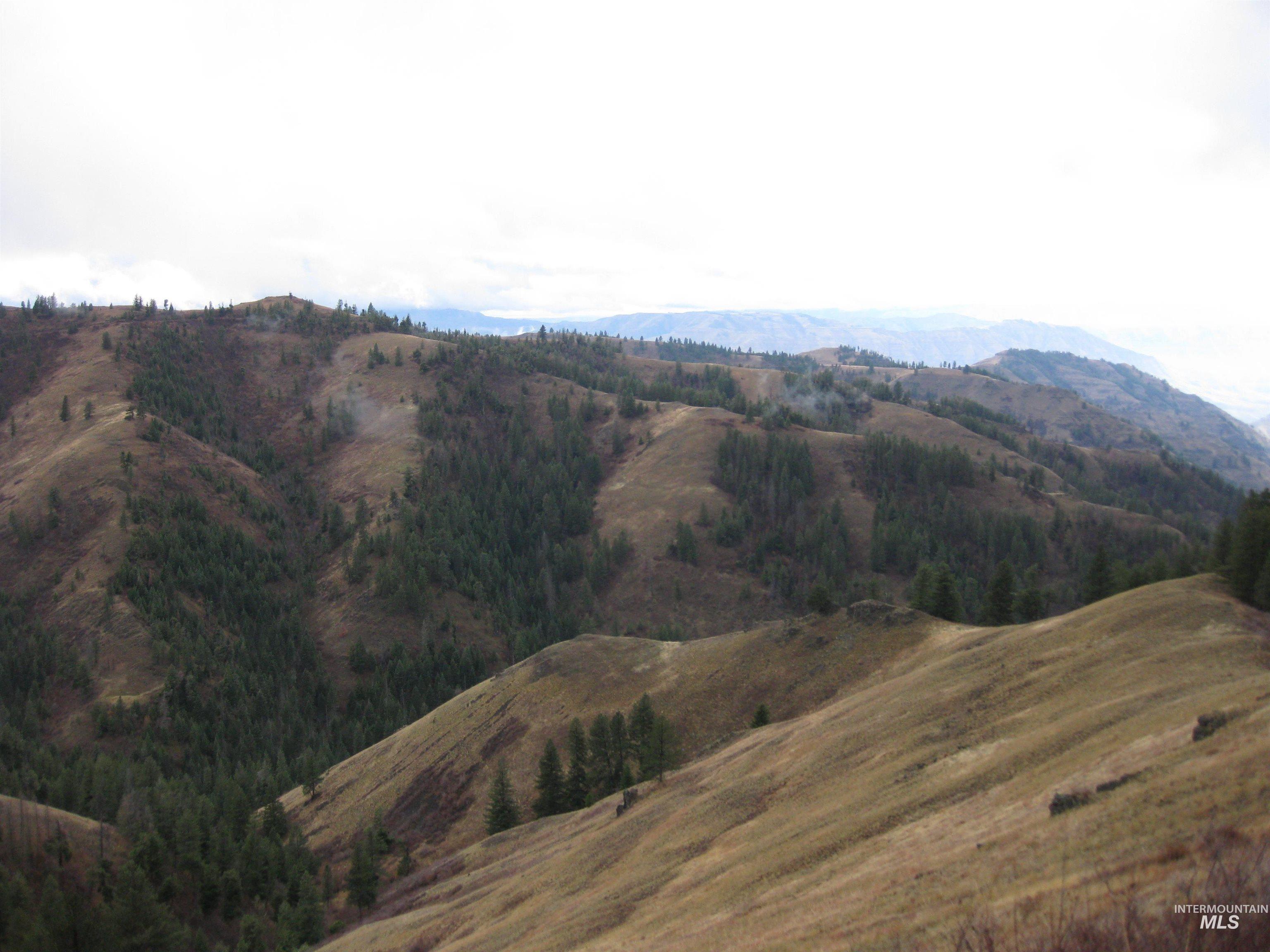 478 Deer Gulch Rd, CottonWood, Idaho 83522, Land For Sale, Price $499,000,MLS 98980190