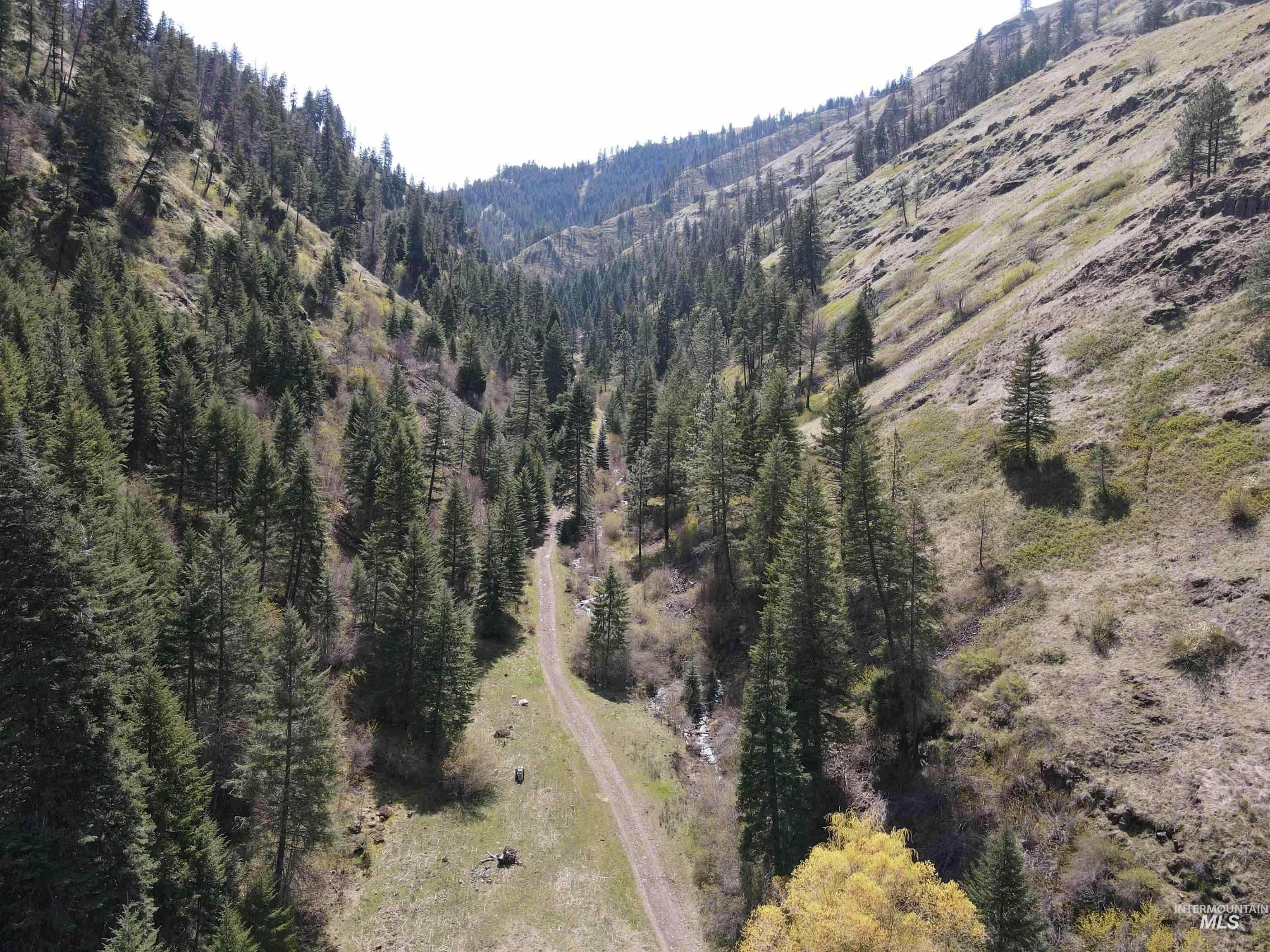 478 Deer Gulch Rd, CottonWood, Idaho 83522, Land For Sale, Price $499,000,MLS 98980190