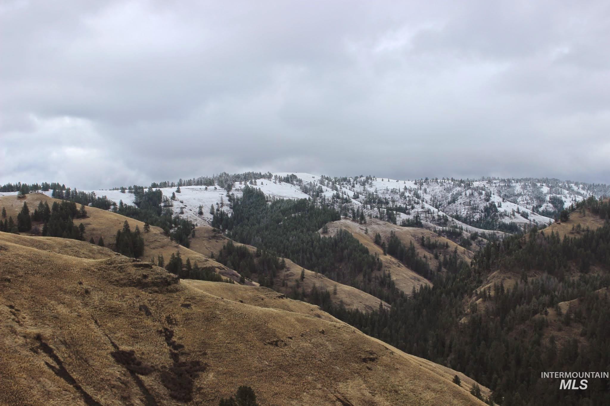 478 Deer Gulch Rd, CottonWood, Idaho 83522, Land For Sale, Price $499,000,MLS 98980190