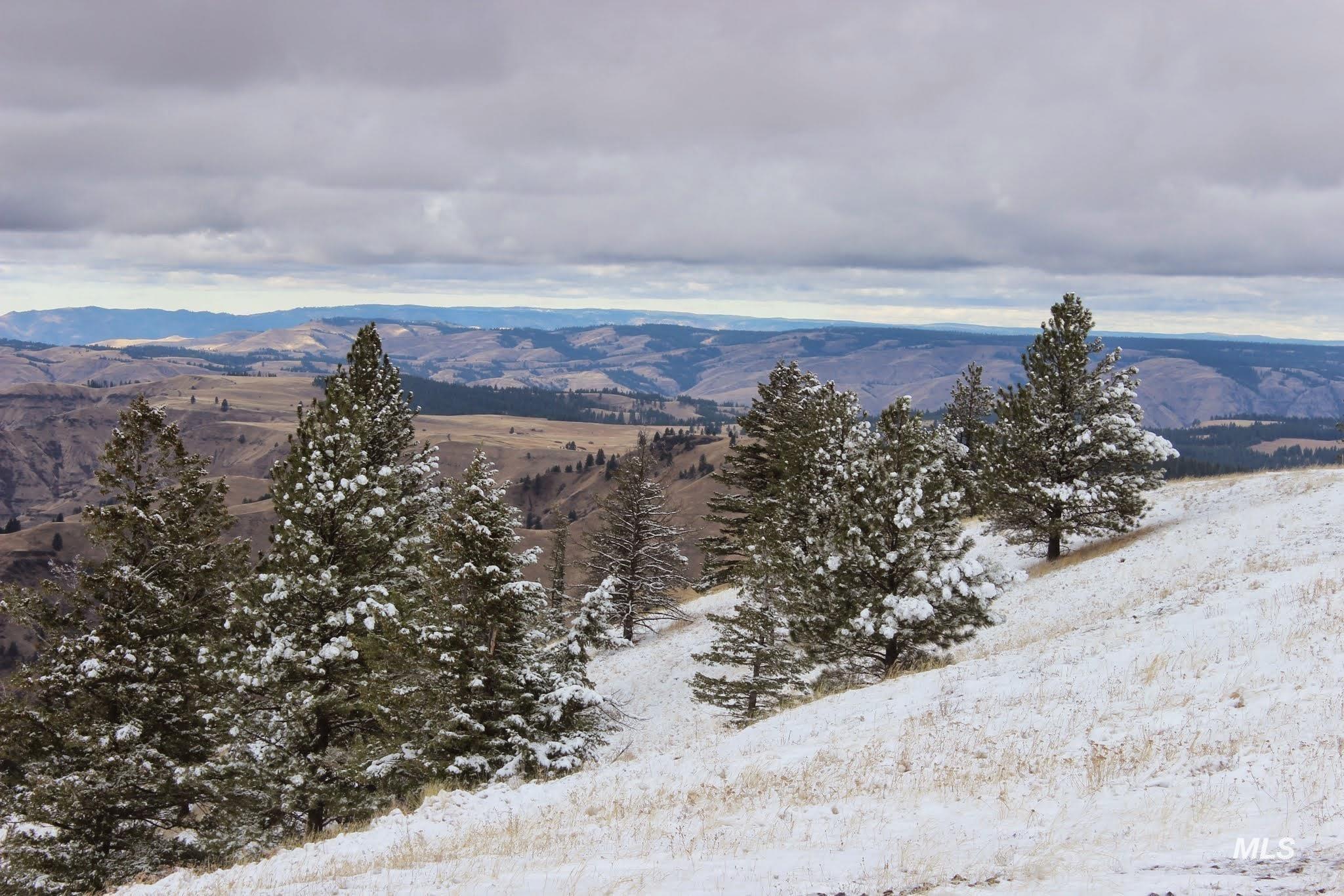 478 Deer Gulch Rd, CottonWood, Idaho 83522, Land For Sale, Price $499,000,MLS 98980190