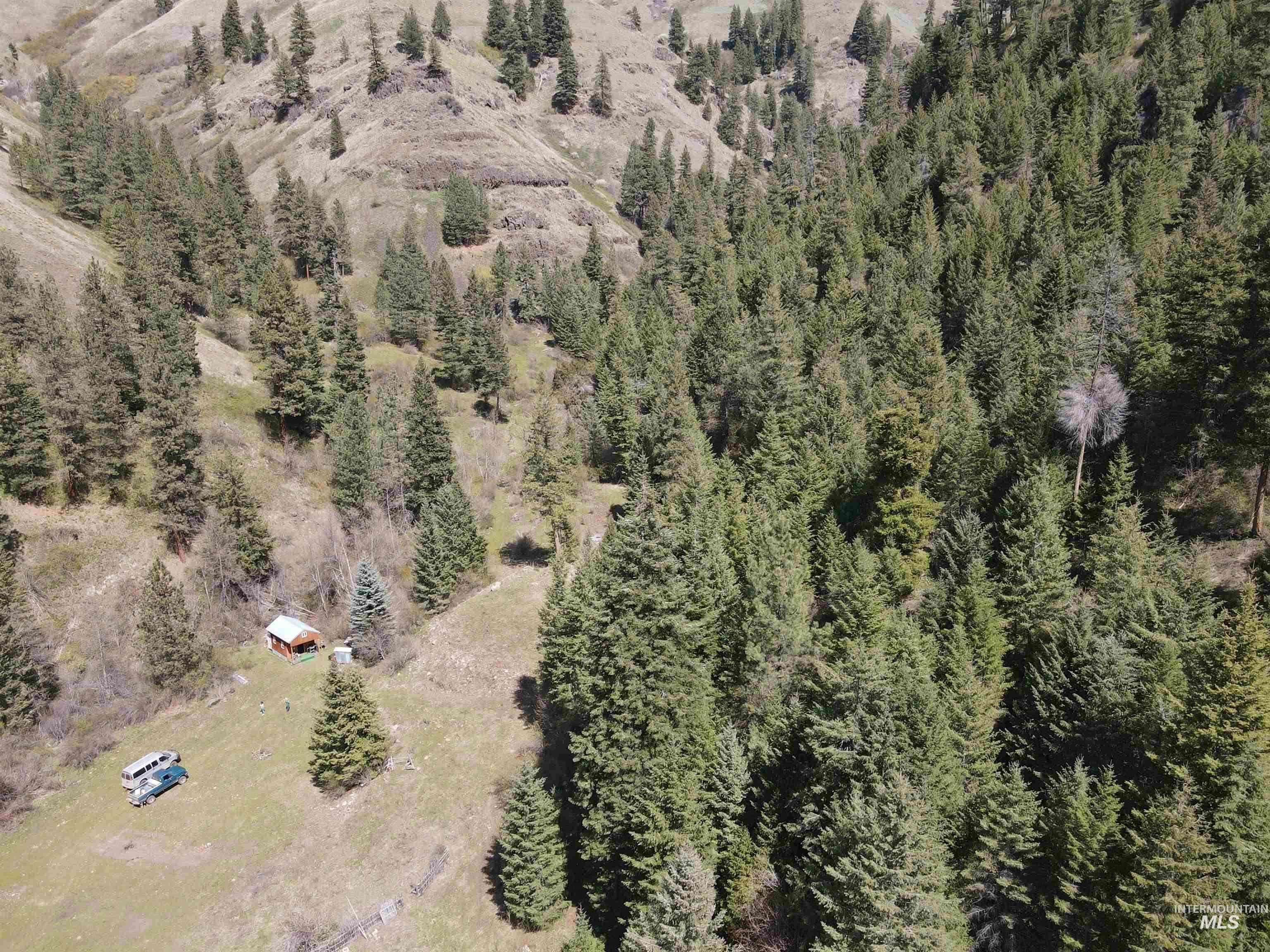 478 Deer Gulch Rd, CottonWood, Idaho 83522, Land For Sale, Price $499,000,MLS 98980190