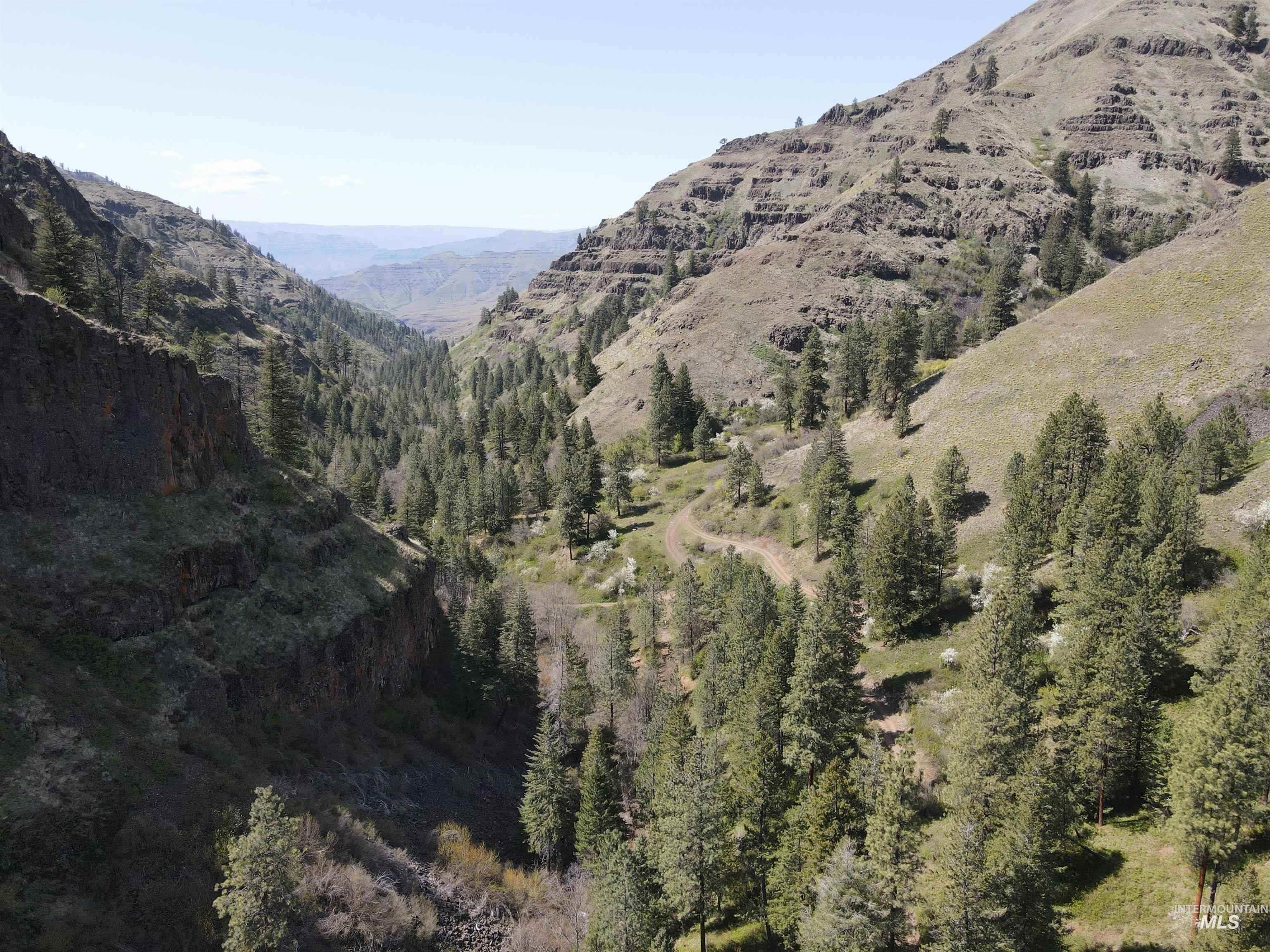 478 Deer Gulch Rd, CottonWood, Idaho 83522, Land For Sale, Price $499,000,MLS 98980190