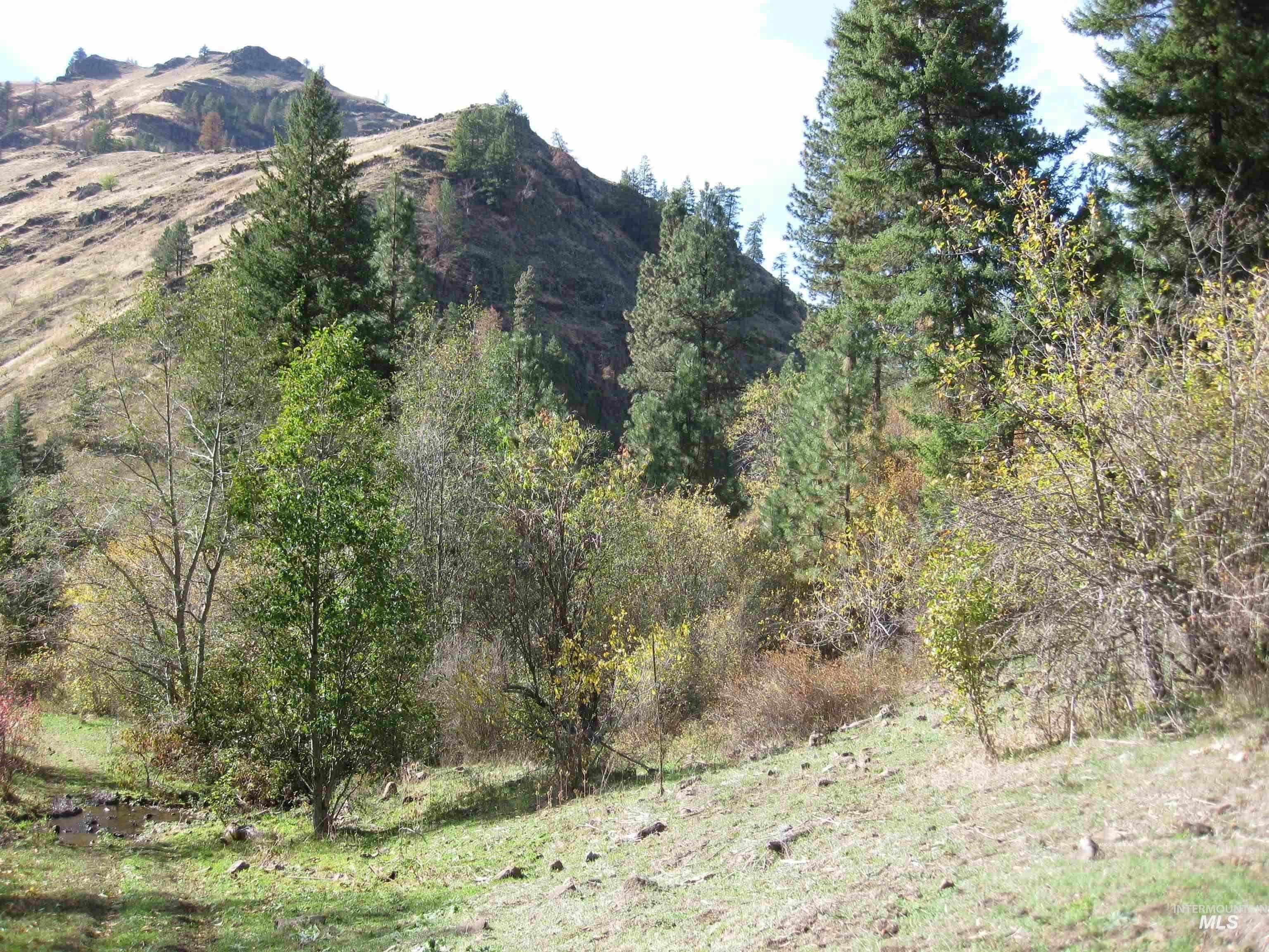 478 Deer Gulch Rd, CottonWood, Idaho 83522, Land For Sale, Price $499,000,MLS 98980190