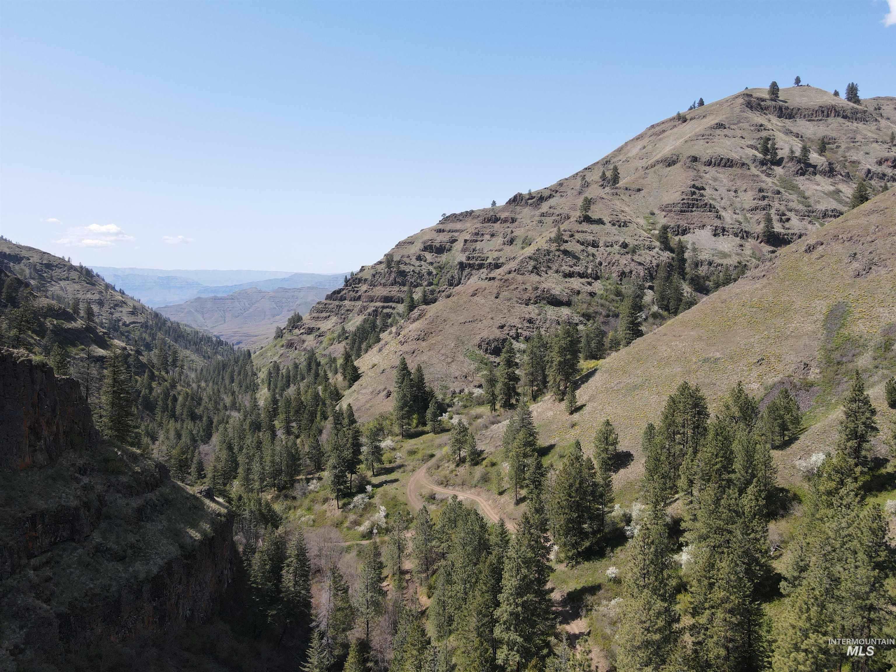 478 Deer Gulch Rd, CottonWood, Idaho 83522, Land For Sale, Price $499,000,MLS 98980190