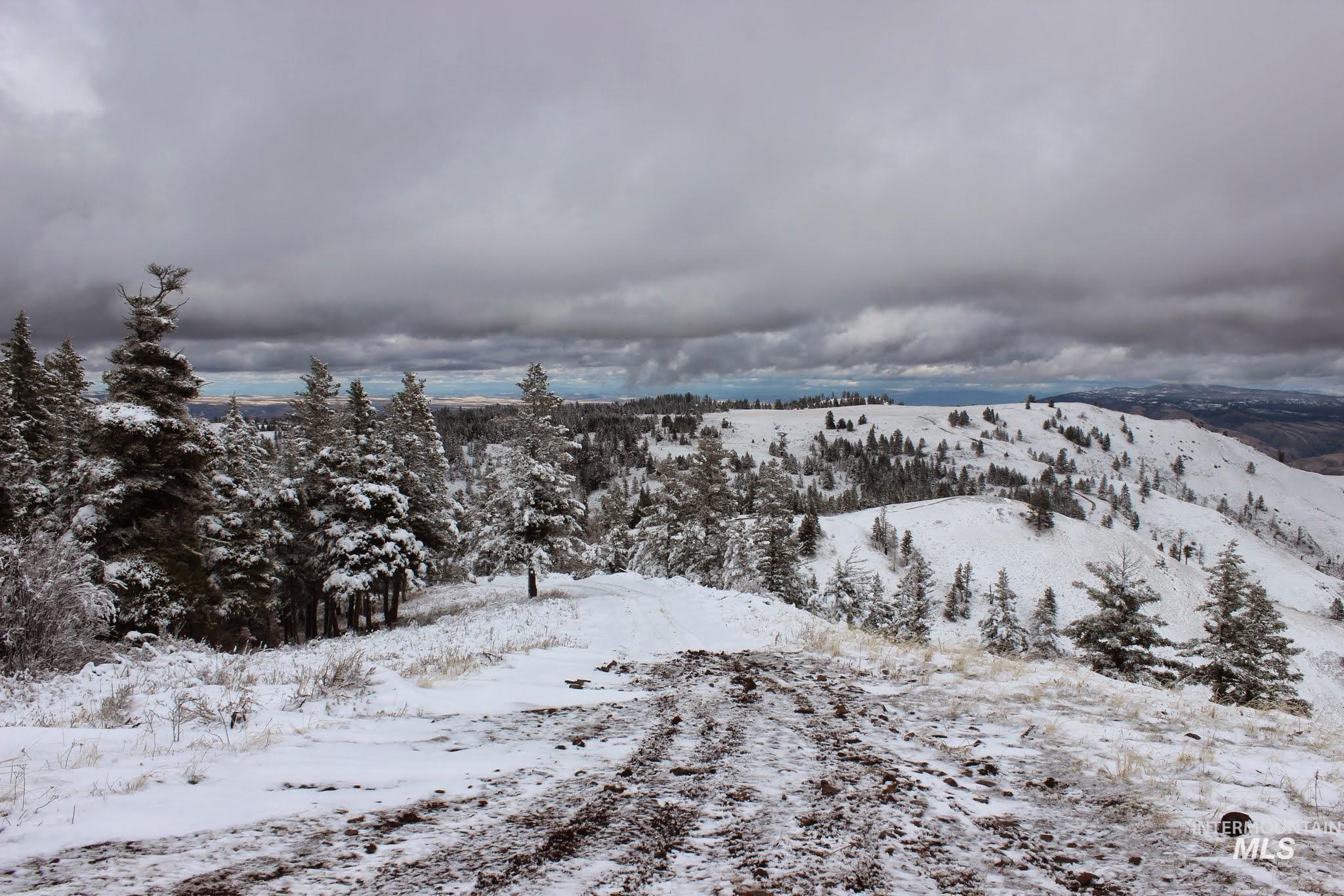 478 Deer Gulch Rd, CottonWood, Idaho 83522, Land For Sale, Price $499,000,MLS 98980190