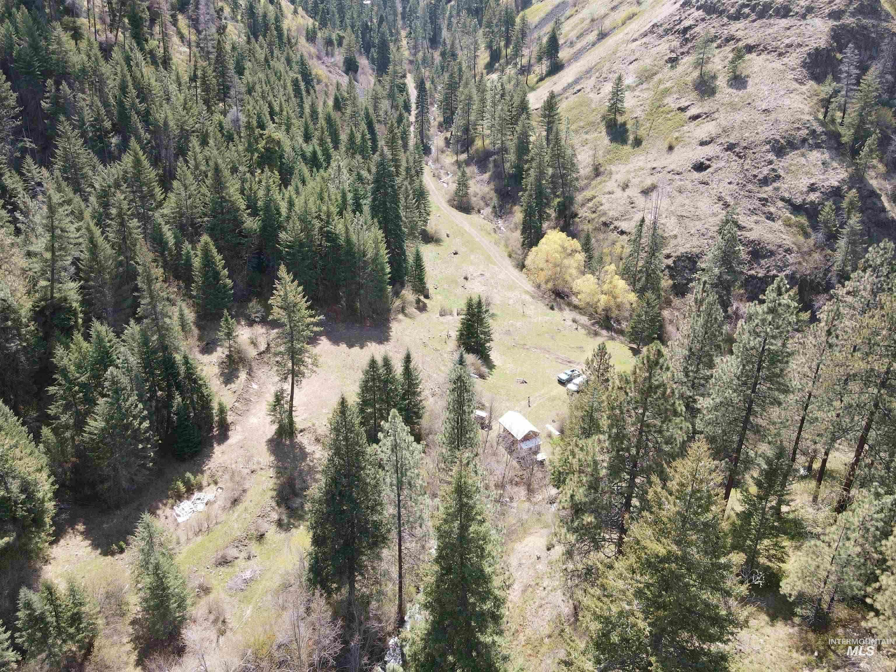 478 Deer Gulch Rd, CottonWood, Idaho 83522, Land For Sale, Price $499,000,MLS 98980190