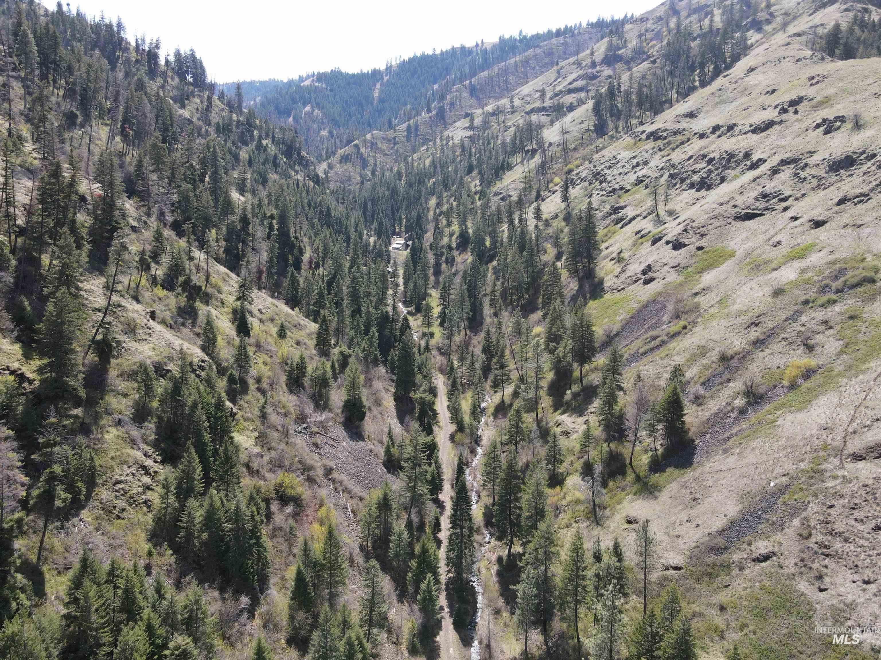 478 Deer Gulch Rd, CottonWood, Idaho 83522, Land For Sale, Price $499,000,MLS 98980190