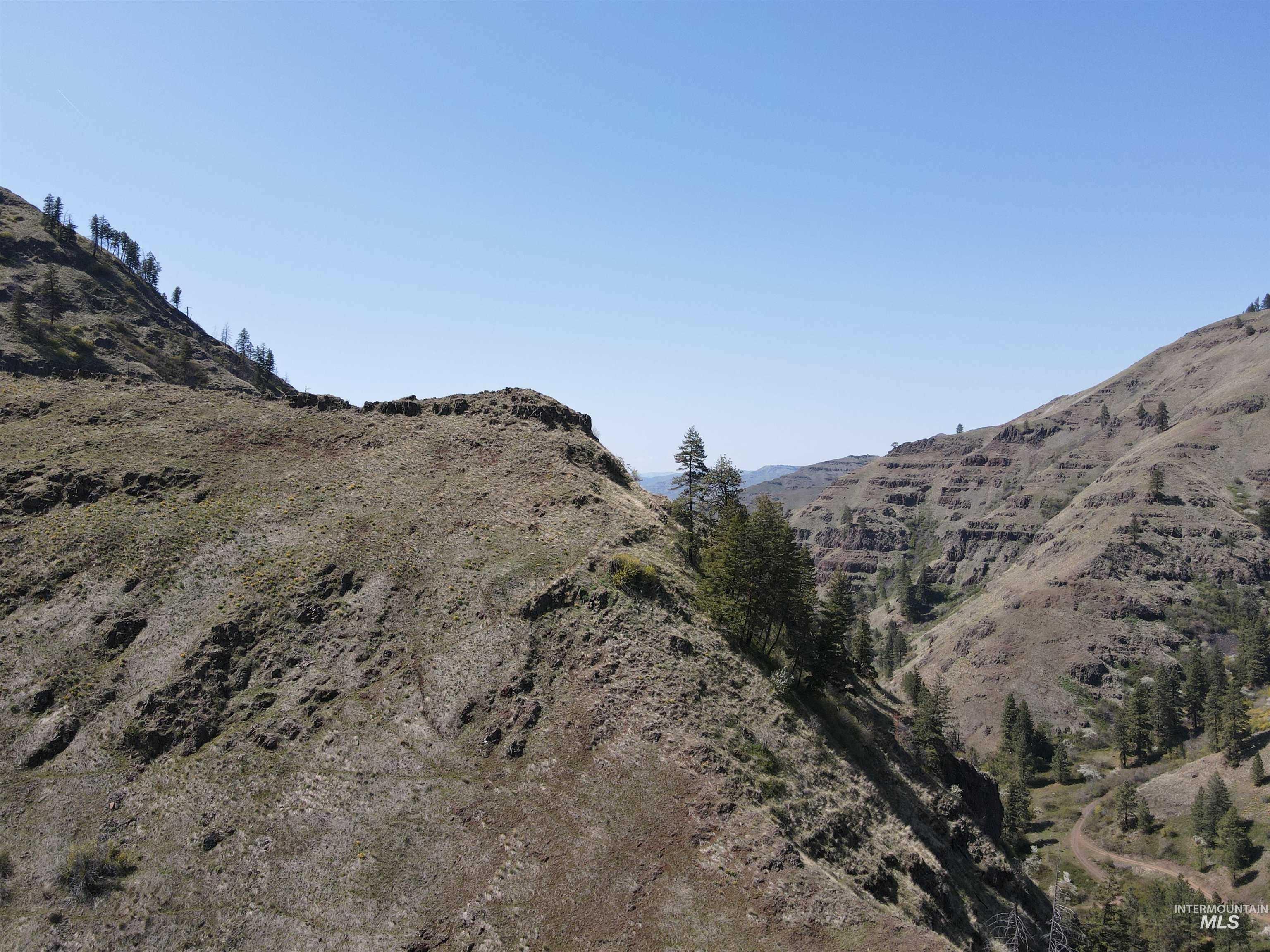 478 Deer Gulch Rd, CottonWood, Idaho 83522, Land For Sale, Price $499,000,MLS 98980190