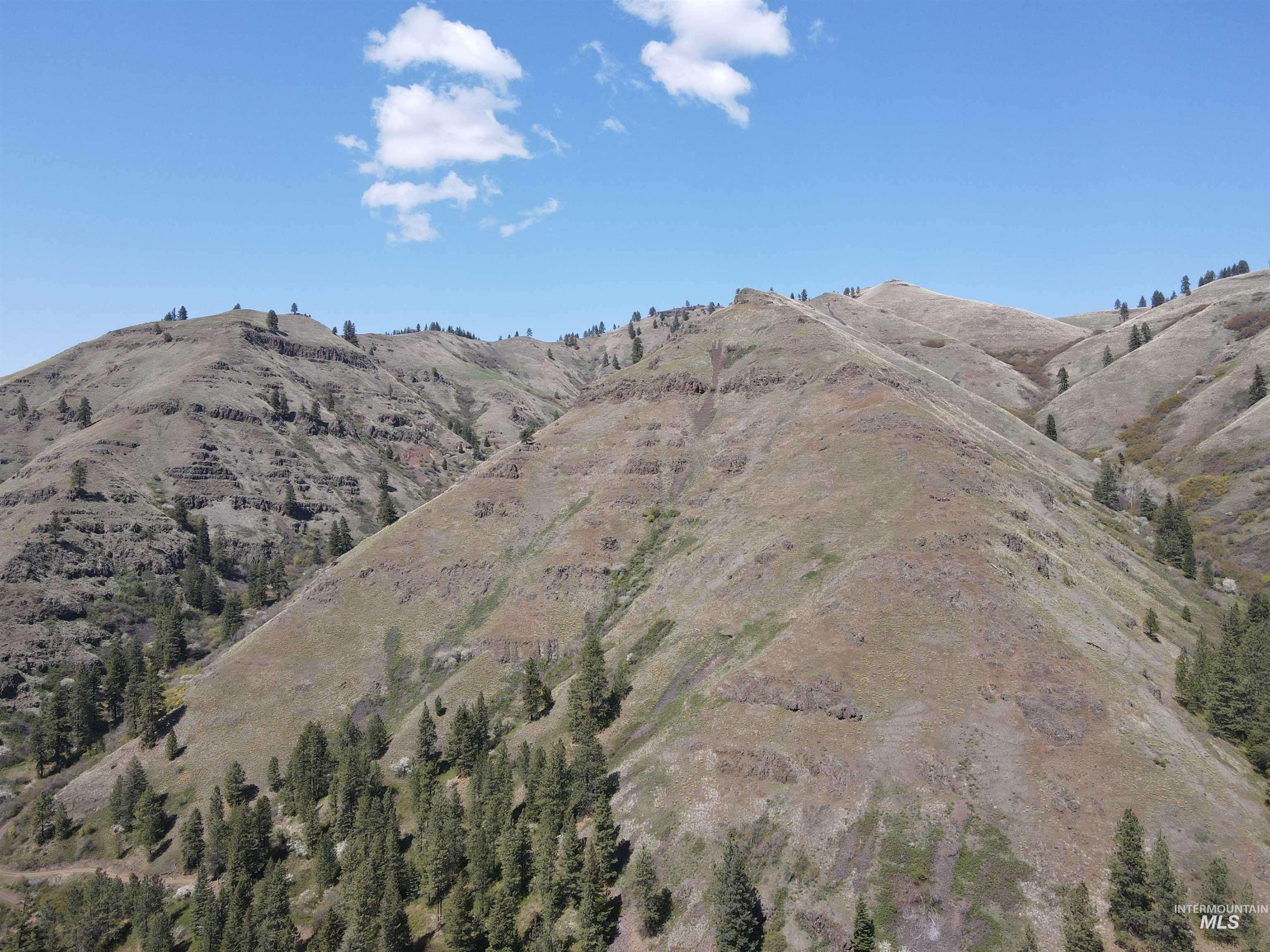 478 Deer Gulch Rd, CottonWood, Idaho 83522, Land For Sale, Price $499,000,MLS 98980190
