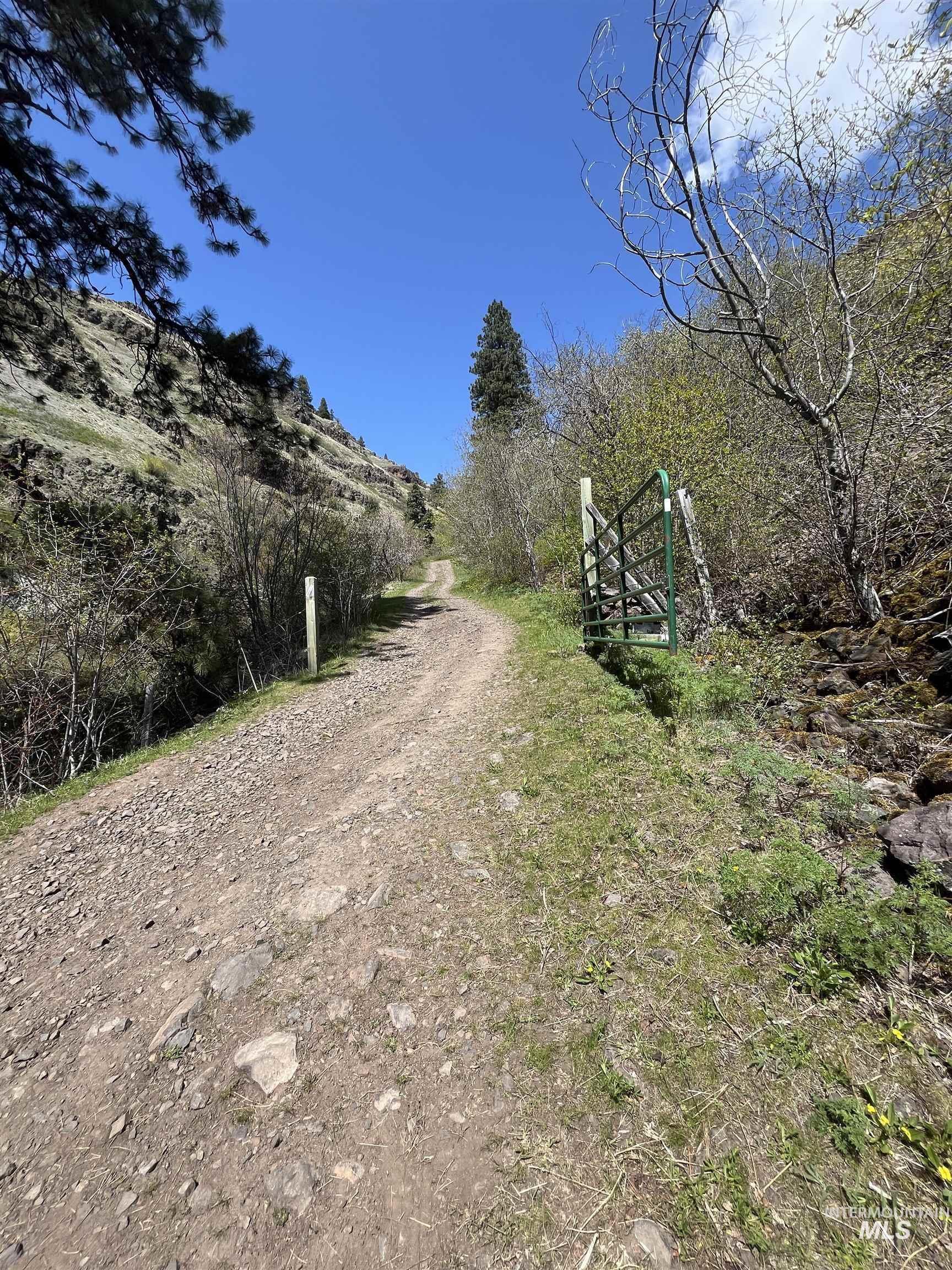 478 Deer Gulch Rd, CottonWood, Idaho 83522, Land For Sale, Price $499,000,MLS 98980190