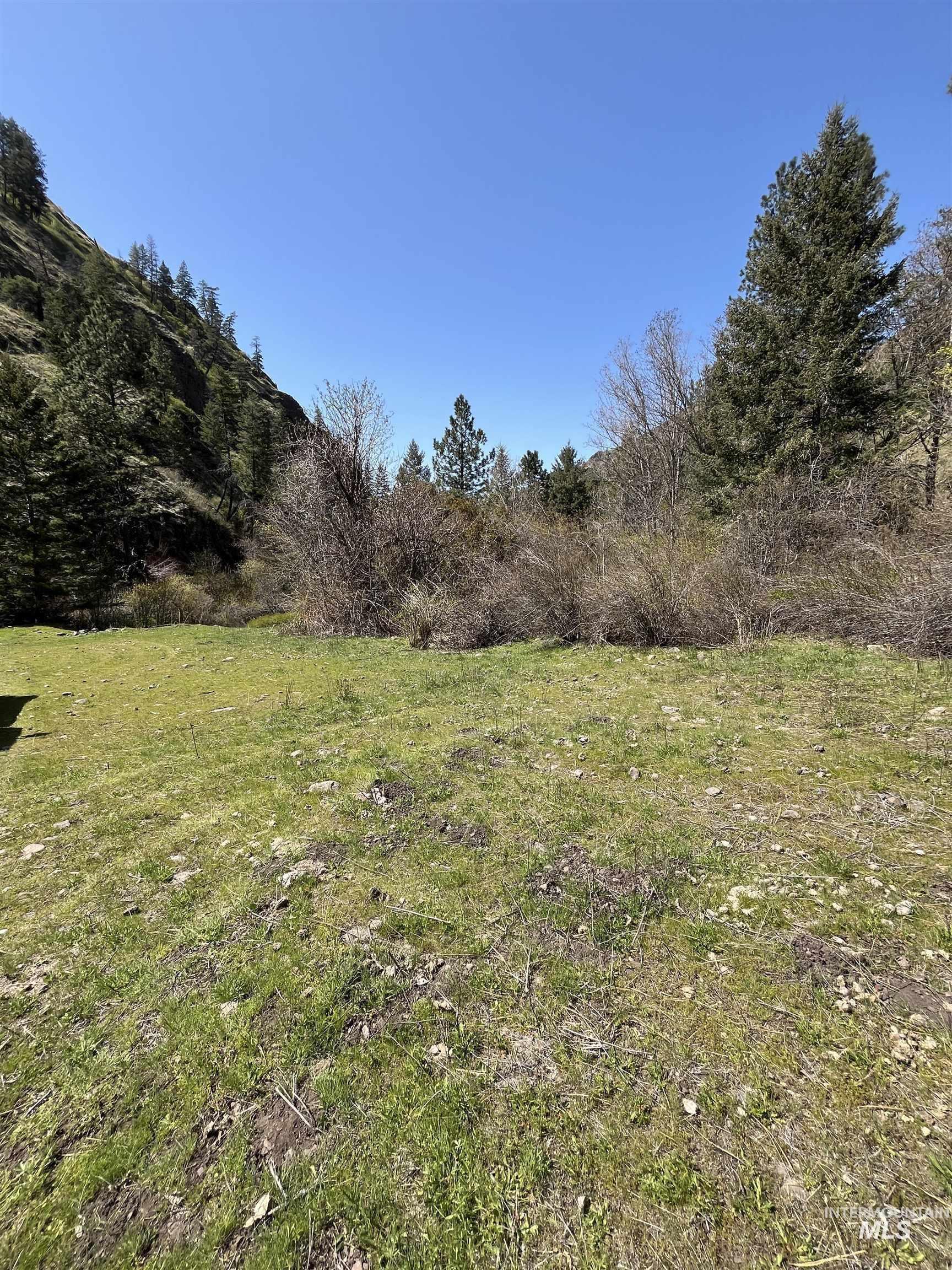478 Deer Gulch Rd, CottonWood, Idaho 83522, Land For Sale, Price $499,000,MLS 98980190