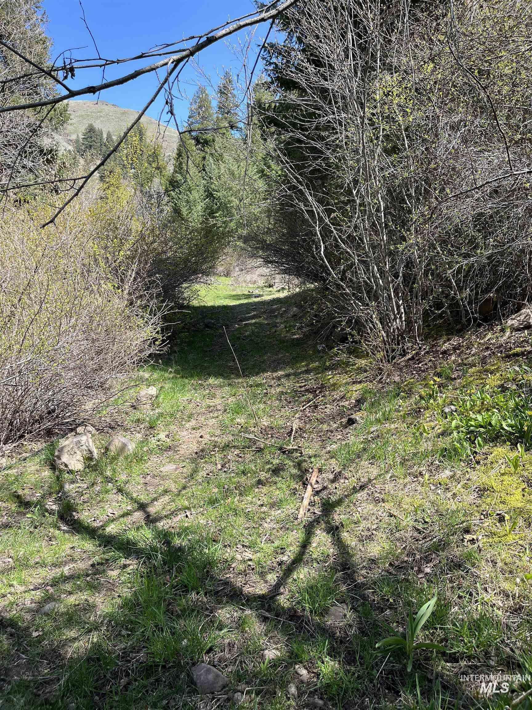 478 Deer Gulch Rd, CottonWood, Idaho 83522, Land For Sale, Price $499,000,MLS 98980190