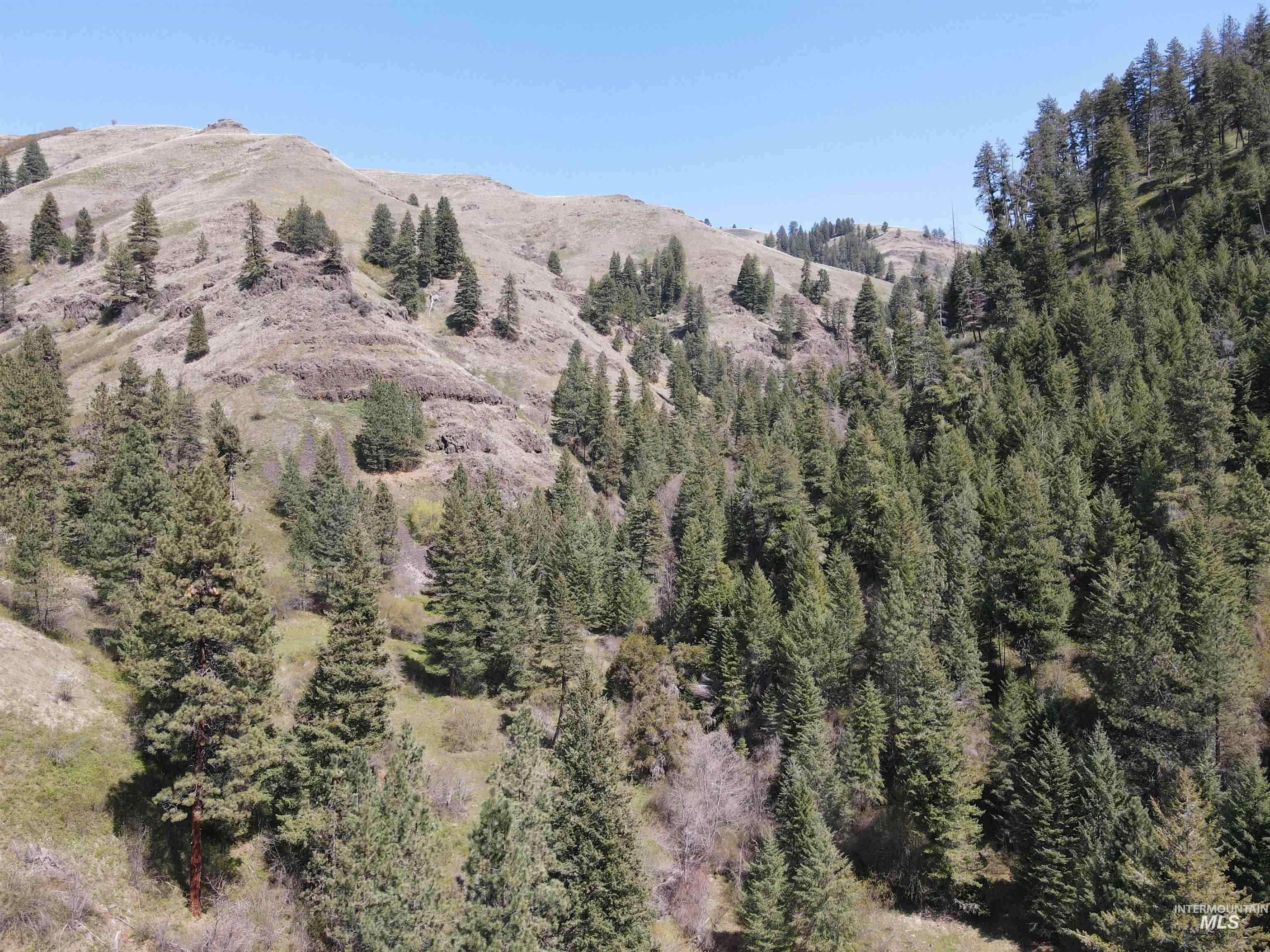 478 Deer Gulch Rd, CottonWood, Idaho 83522, Land For Sale, Price $499,000,MLS 98980190