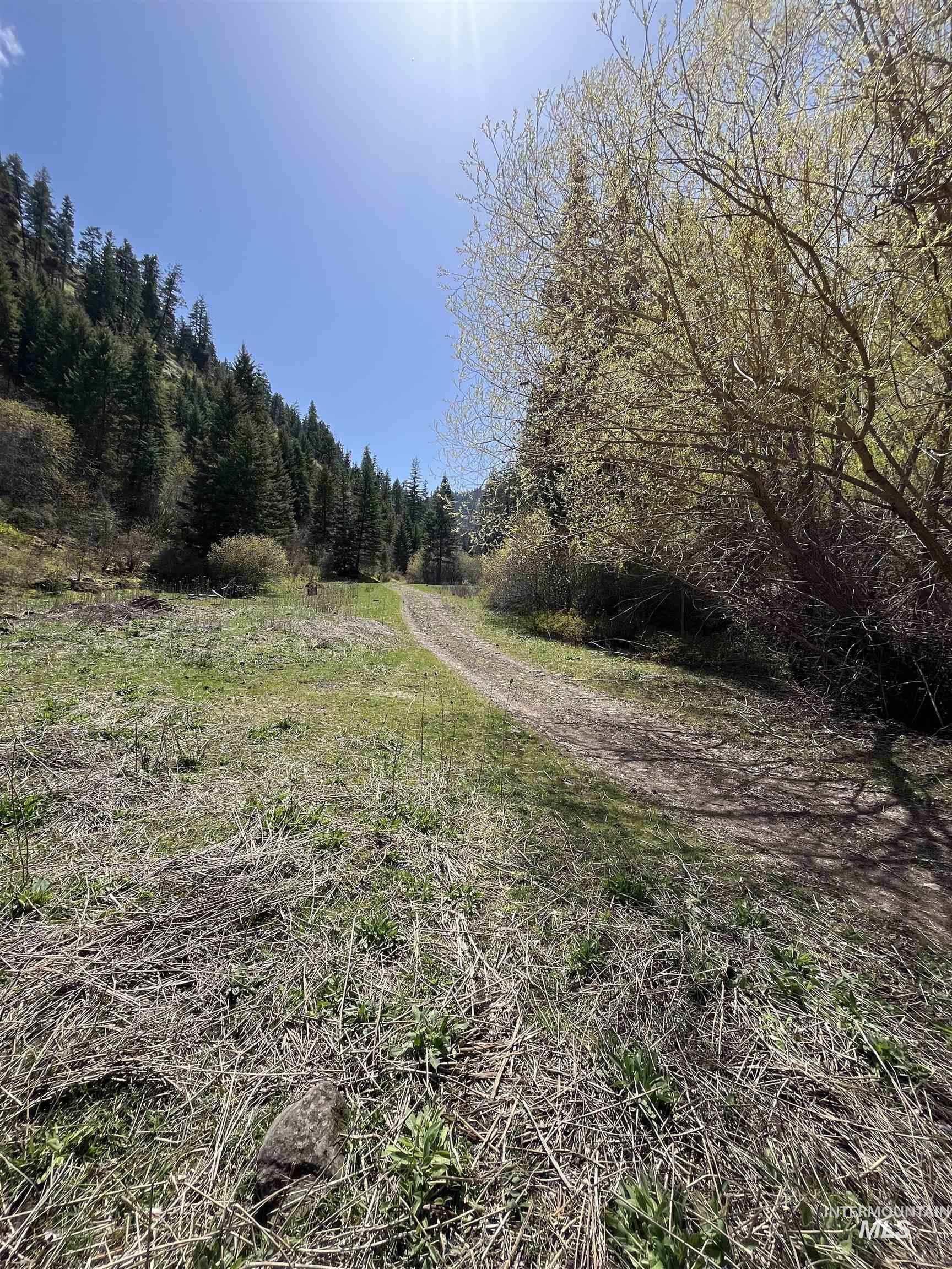 478 Deer Gulch Rd, CottonWood, Idaho 83522, Land For Sale, Price $499,000,MLS 98980190