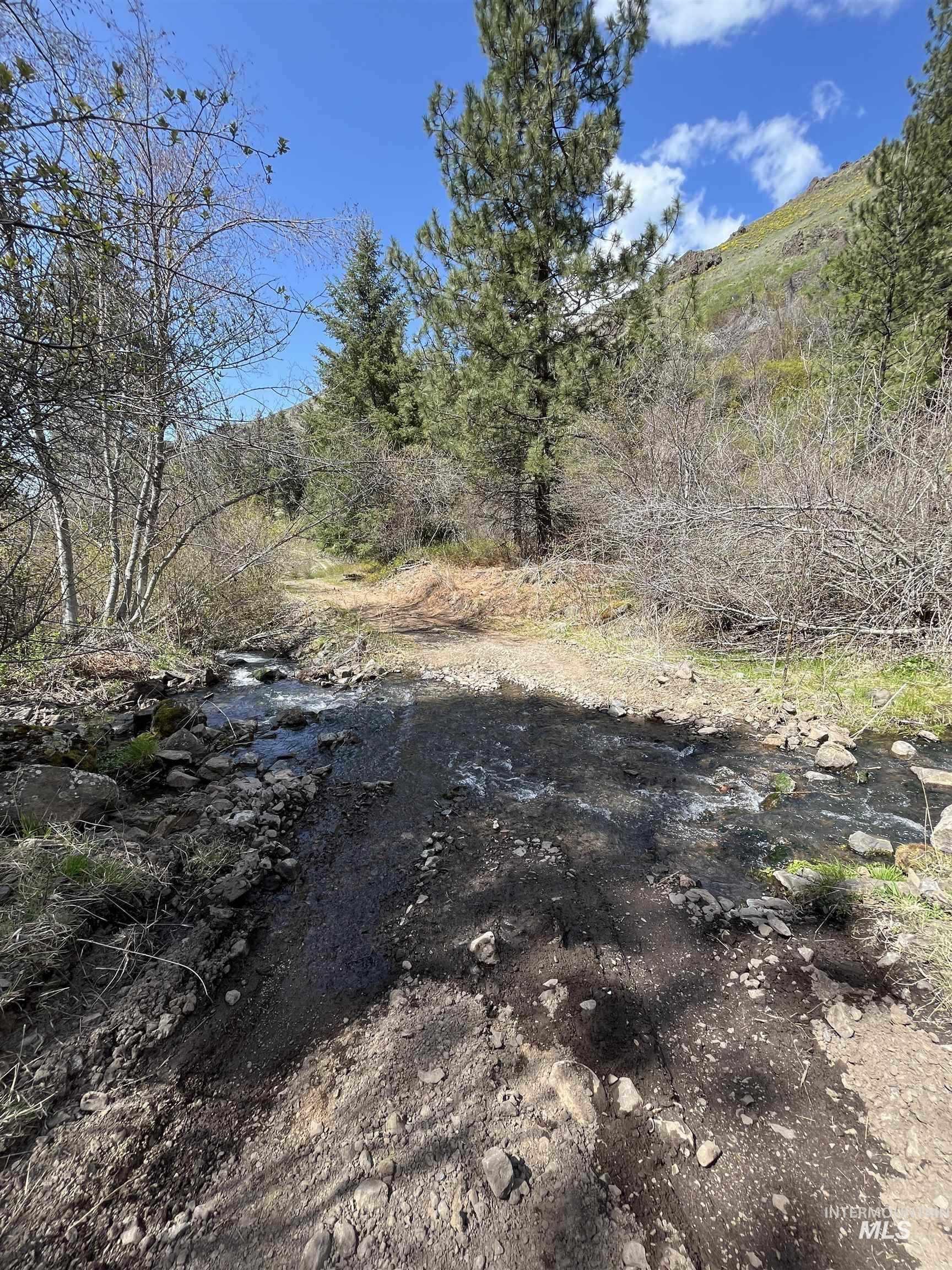 478 Deer Gulch Rd, CottonWood, Idaho 83522, Land For Sale, Price $499,000,MLS 98980190