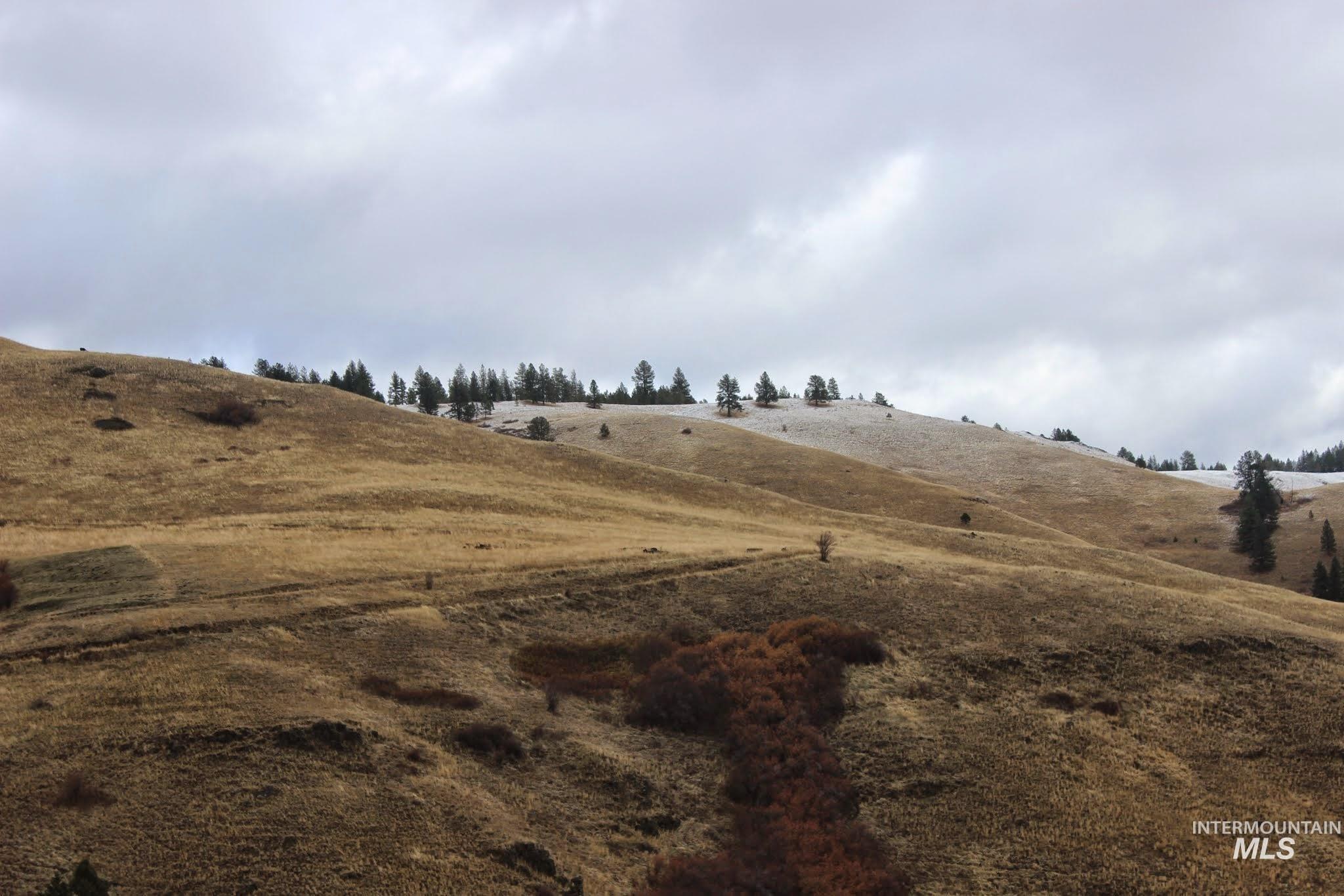 478 Deer Gulch Rd, CottonWood, Idaho 83522, Land For Sale, Price $499,000,MLS 98980190