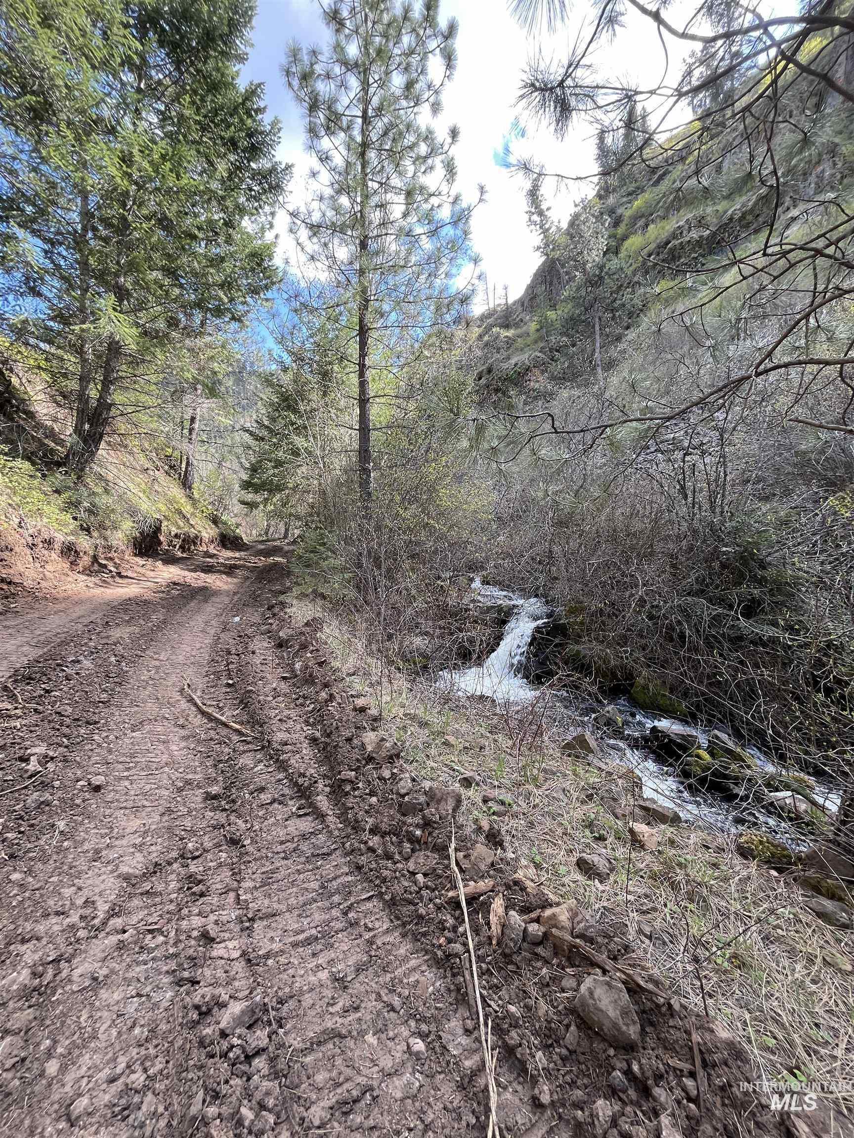 478 Deer Gulch Rd, CottonWood, Idaho 83522, Land For Sale, Price $499,000,MLS 98980190