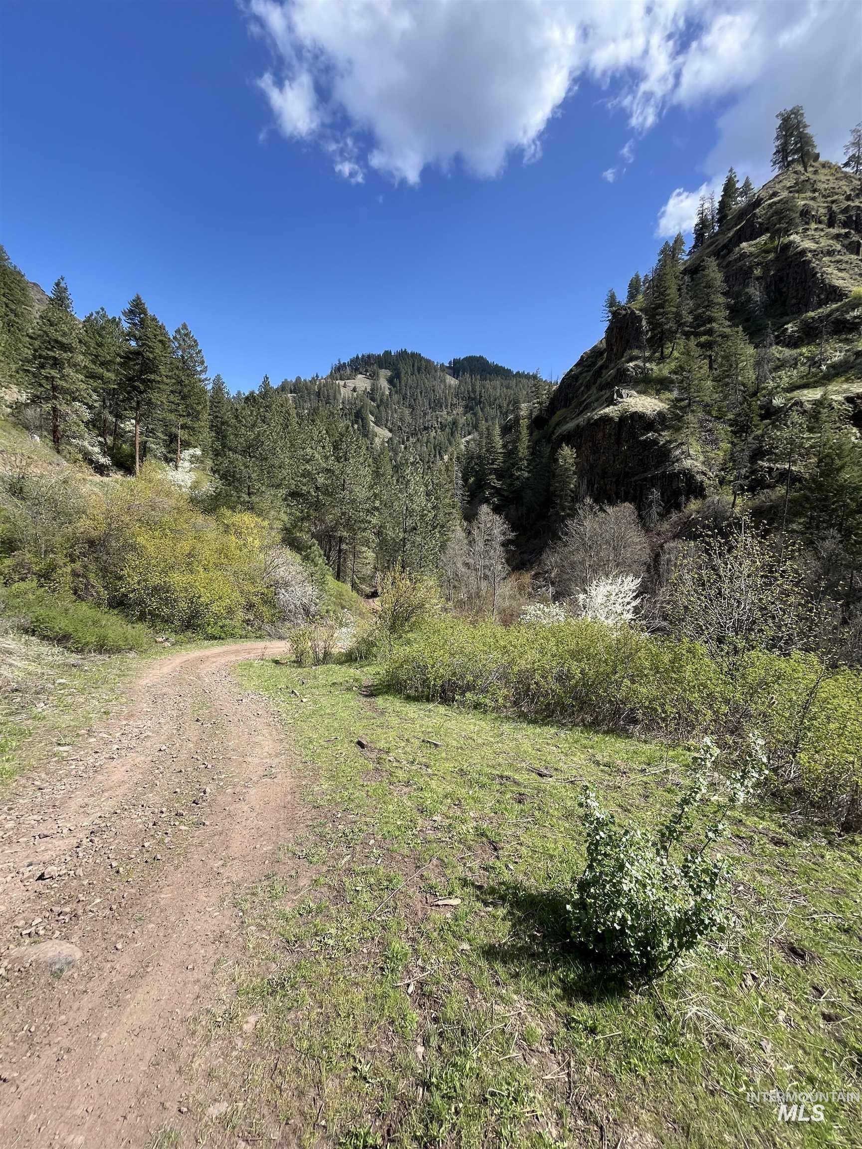 478 Deer Gulch Rd, CottonWood, Idaho 83522, Land For Sale, Price $499,000,MLS 98980190