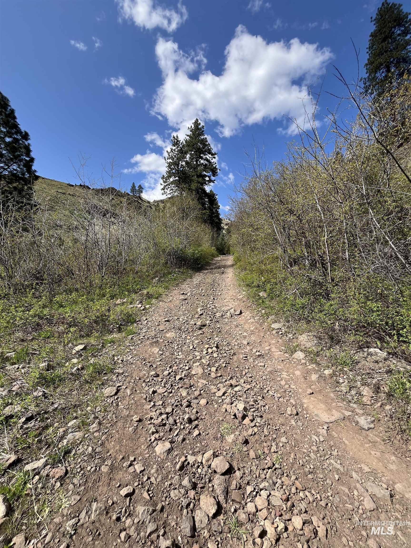 478 Deer Gulch Rd, CottonWood, Idaho 83522, Land For Sale, Price $499,000,MLS 98980190