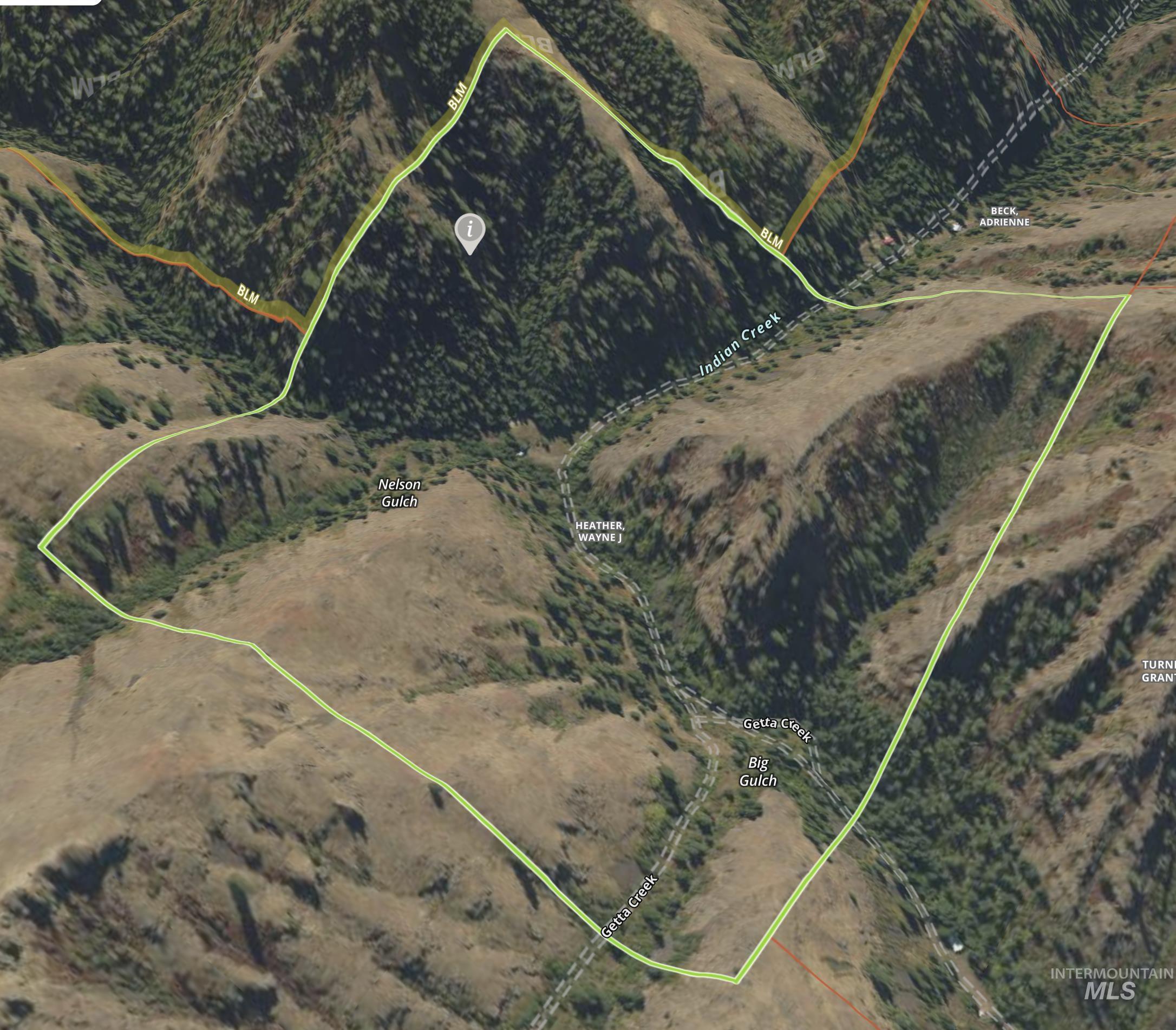 478 Deer Gulch Rd, CottonWood, Idaho 83522, Land For Sale, Price $499,000,MLS 98980190