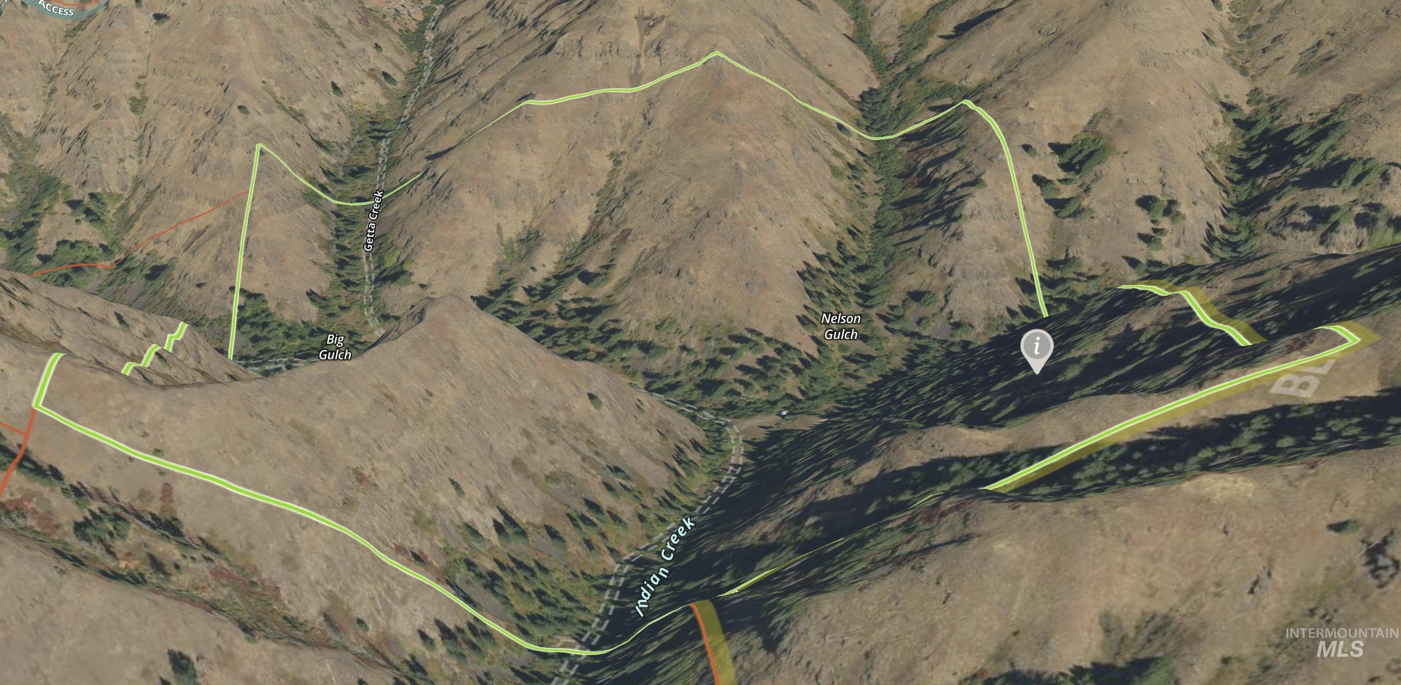 478 Deer Gulch Rd, CottonWood, Idaho 83522, Land For Sale, Price $499,000,MLS 98980190