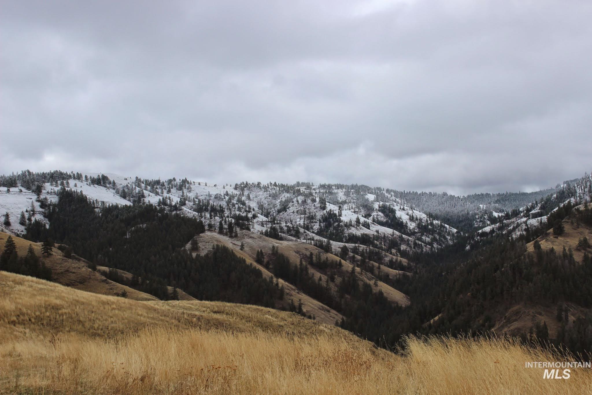 478 Deer Gulch Rd, CottonWood, Idaho 83522, Land For Sale, Price $499,000,MLS 98980190