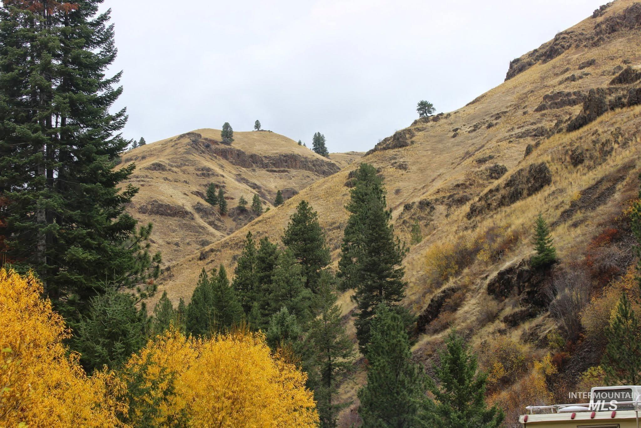 478 Deer Gulch Rd, CottonWood, Idaho 83522, Land For Sale, Price $499,000,MLS 98980190